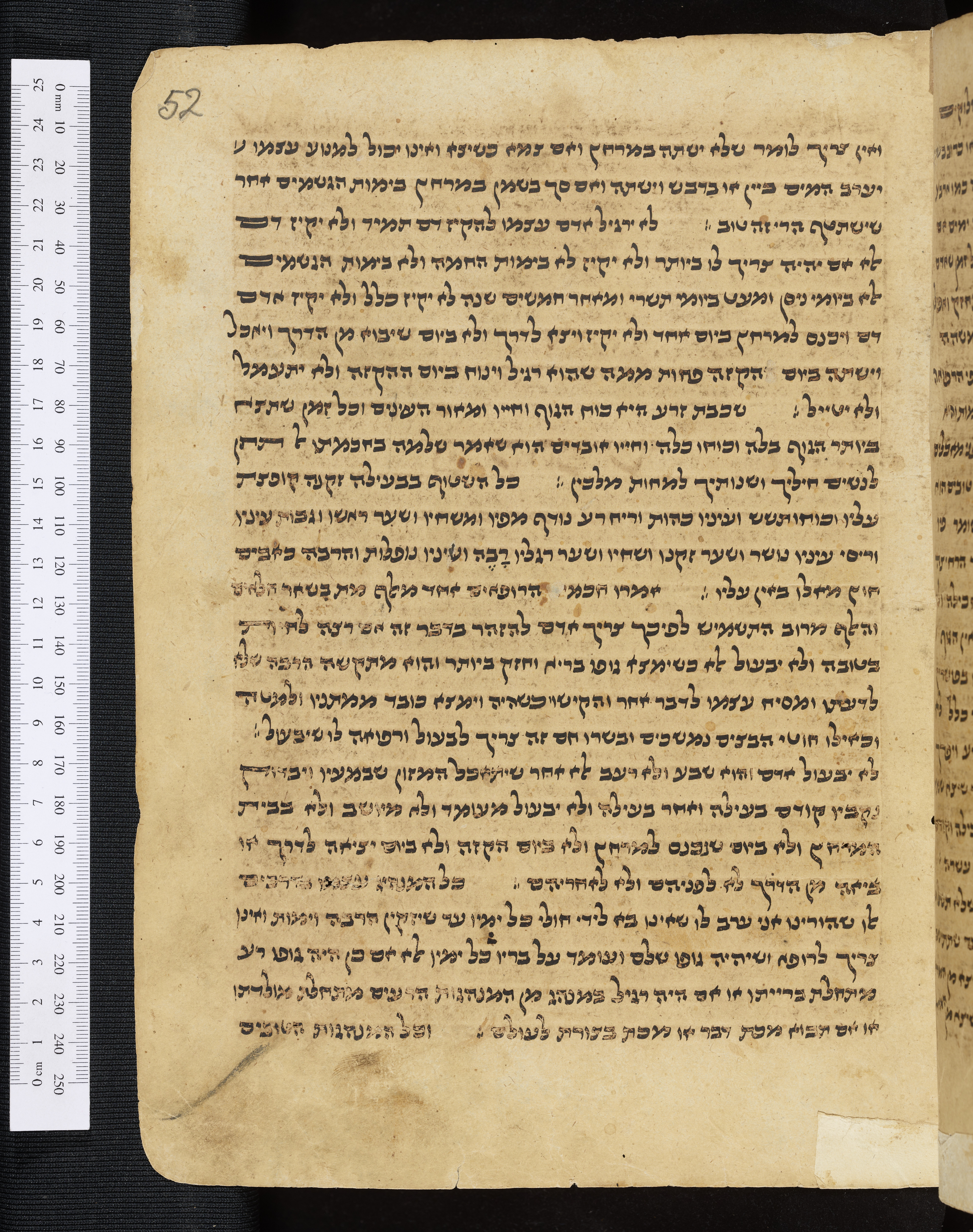 Image of item, e.g. a manuscript page