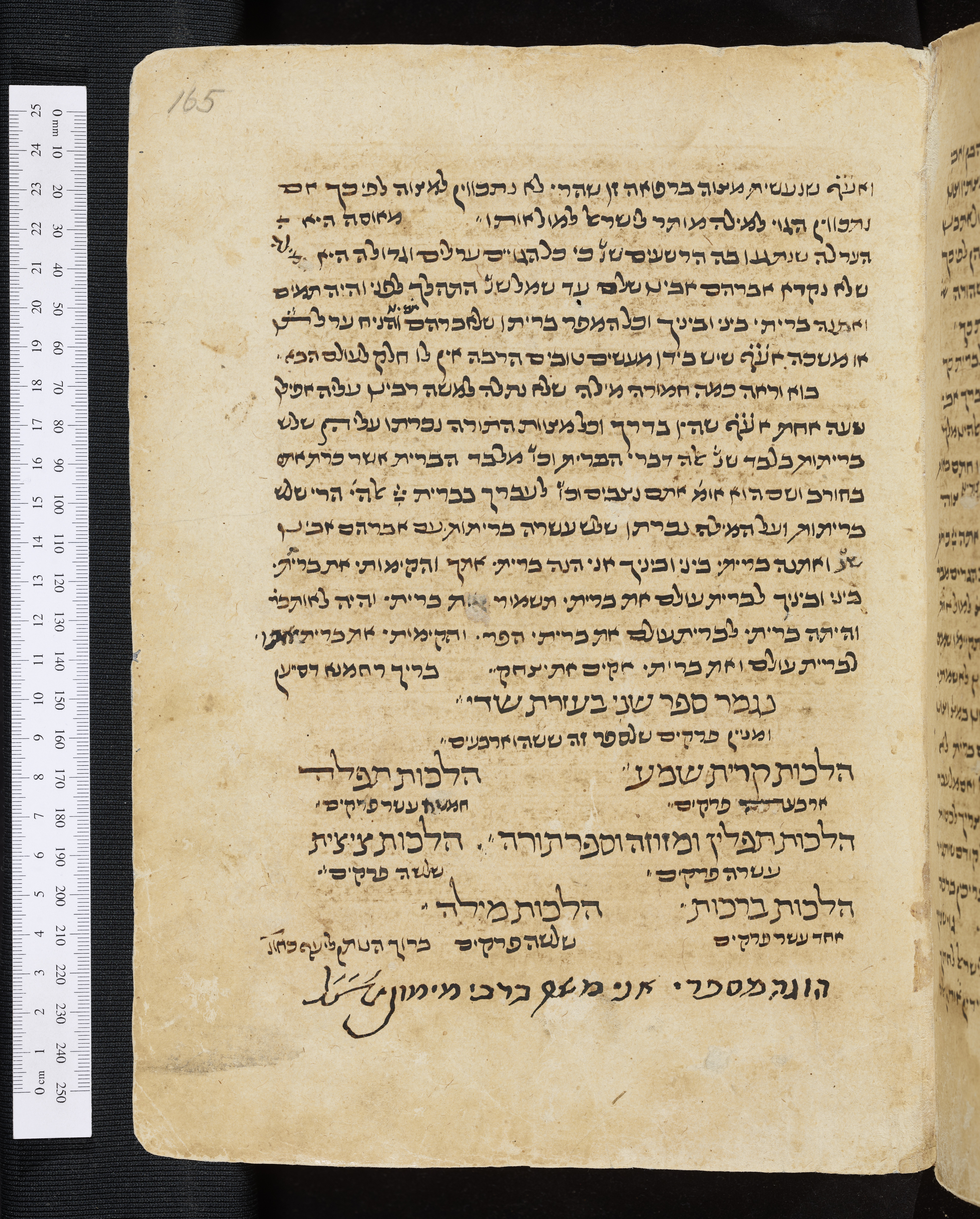 Image of item, e.g. a manuscript page