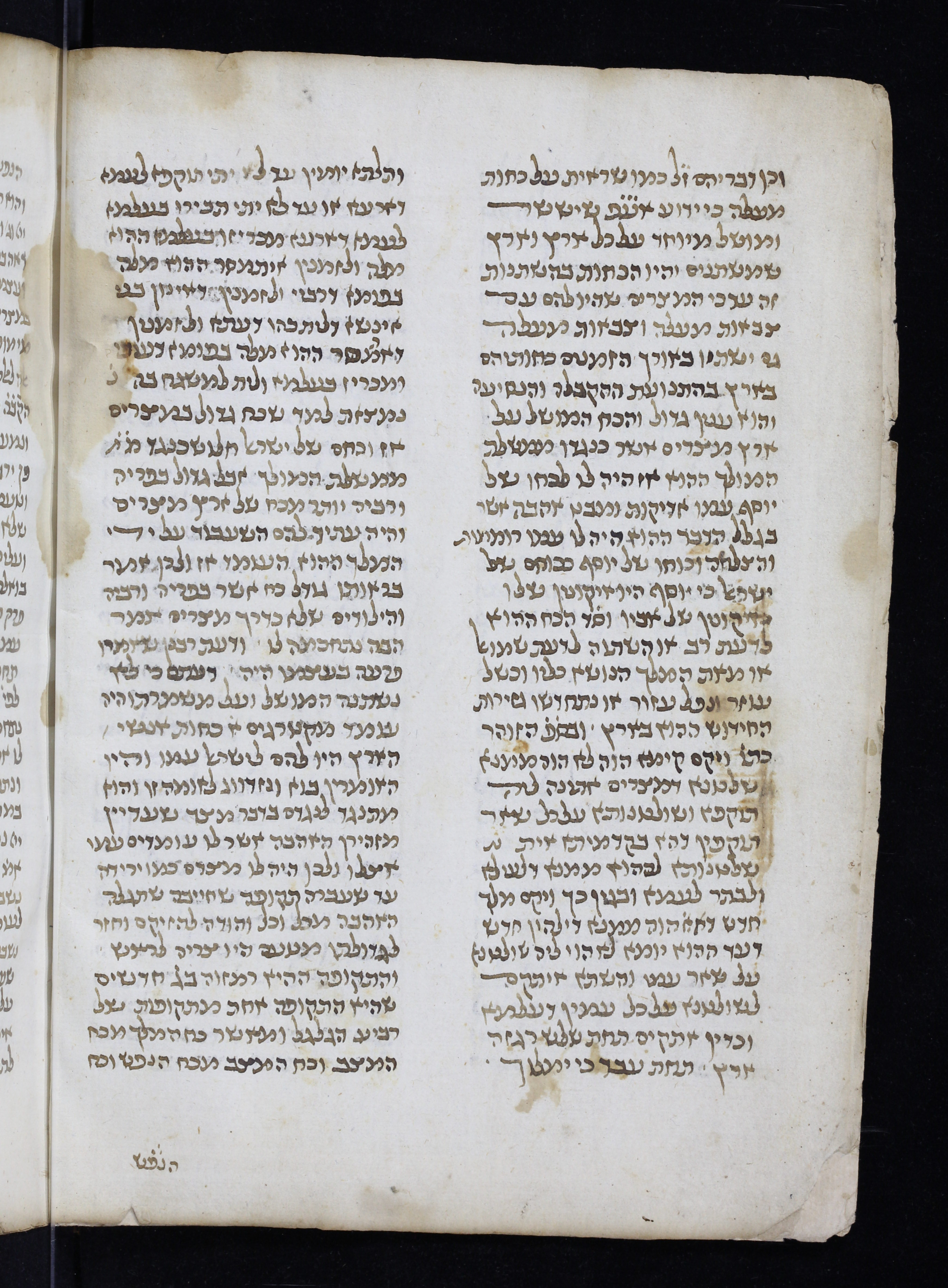 Image of item, e.g. a manuscript page