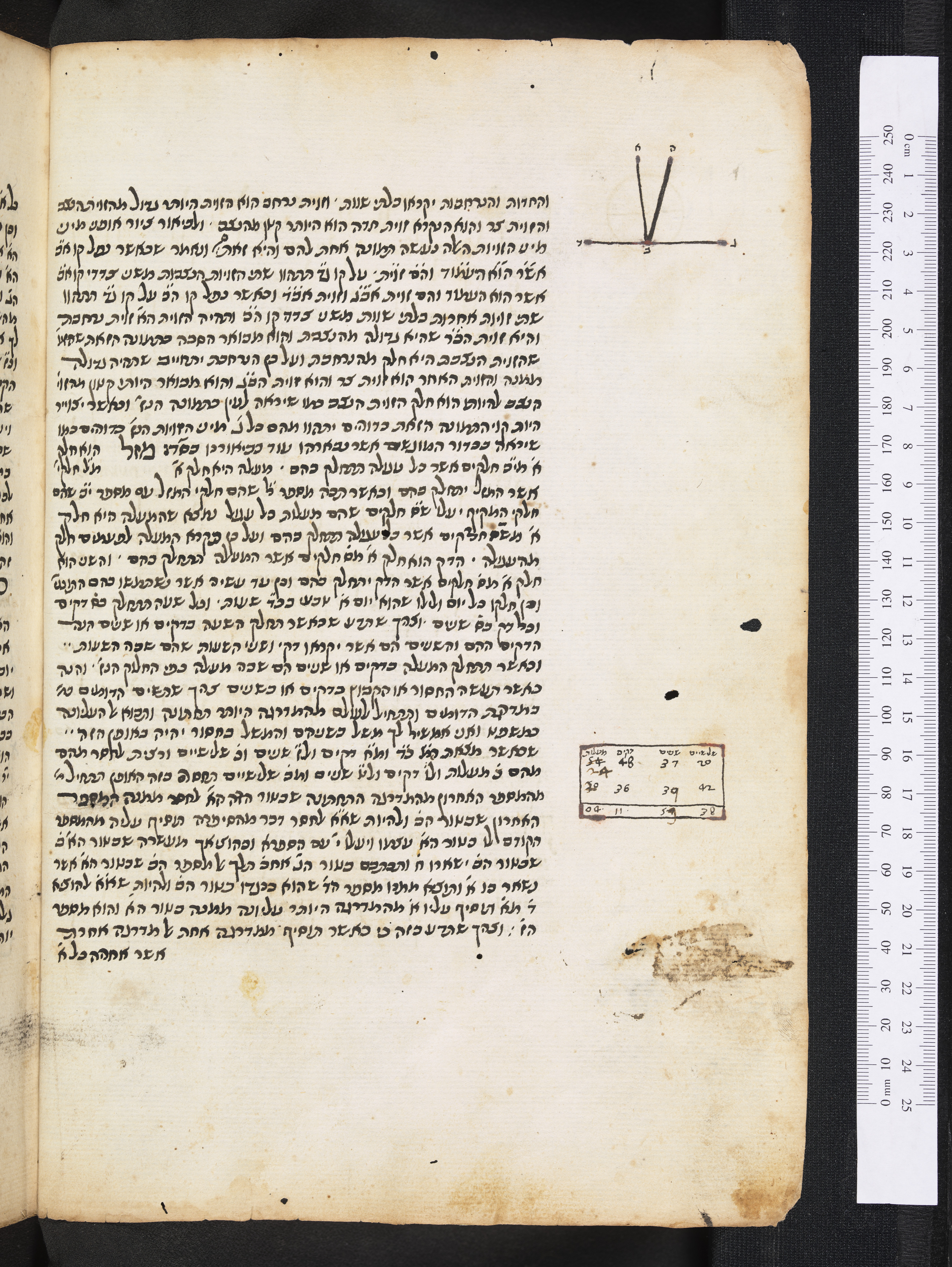 Image of item, e.g. a manuscript page