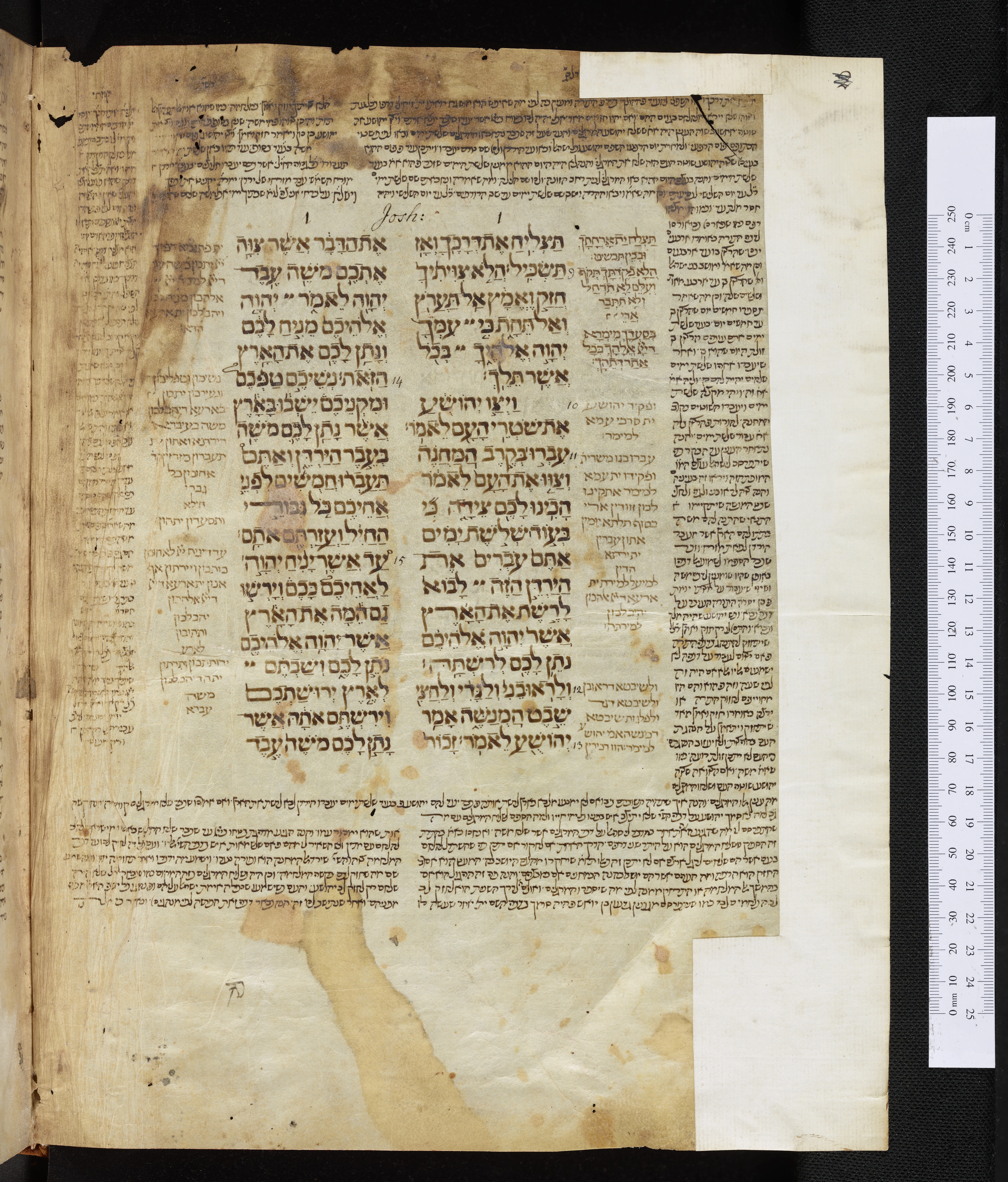 Image of item, e.g. a manuscript page