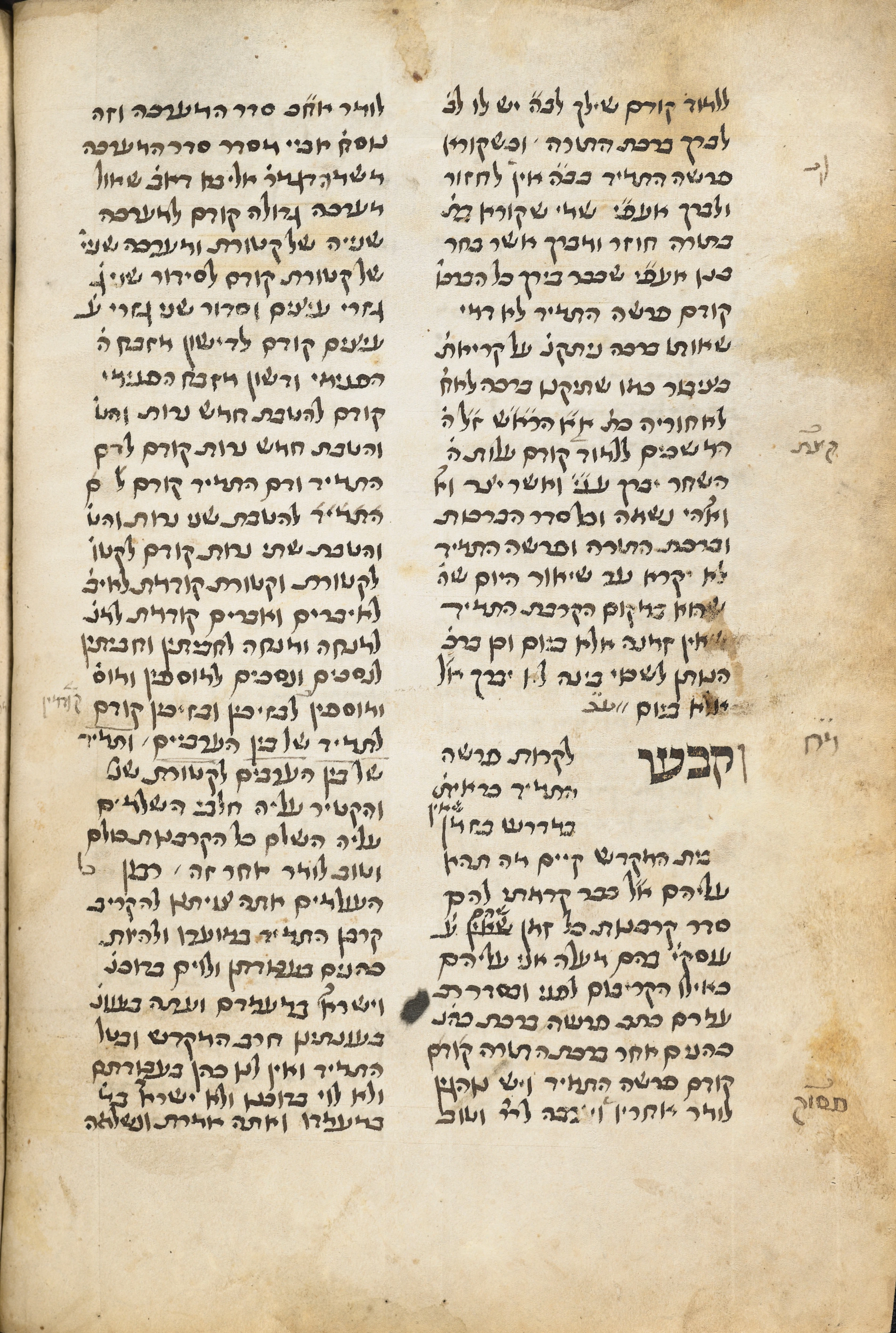 Image of item, e.g. a manuscript page