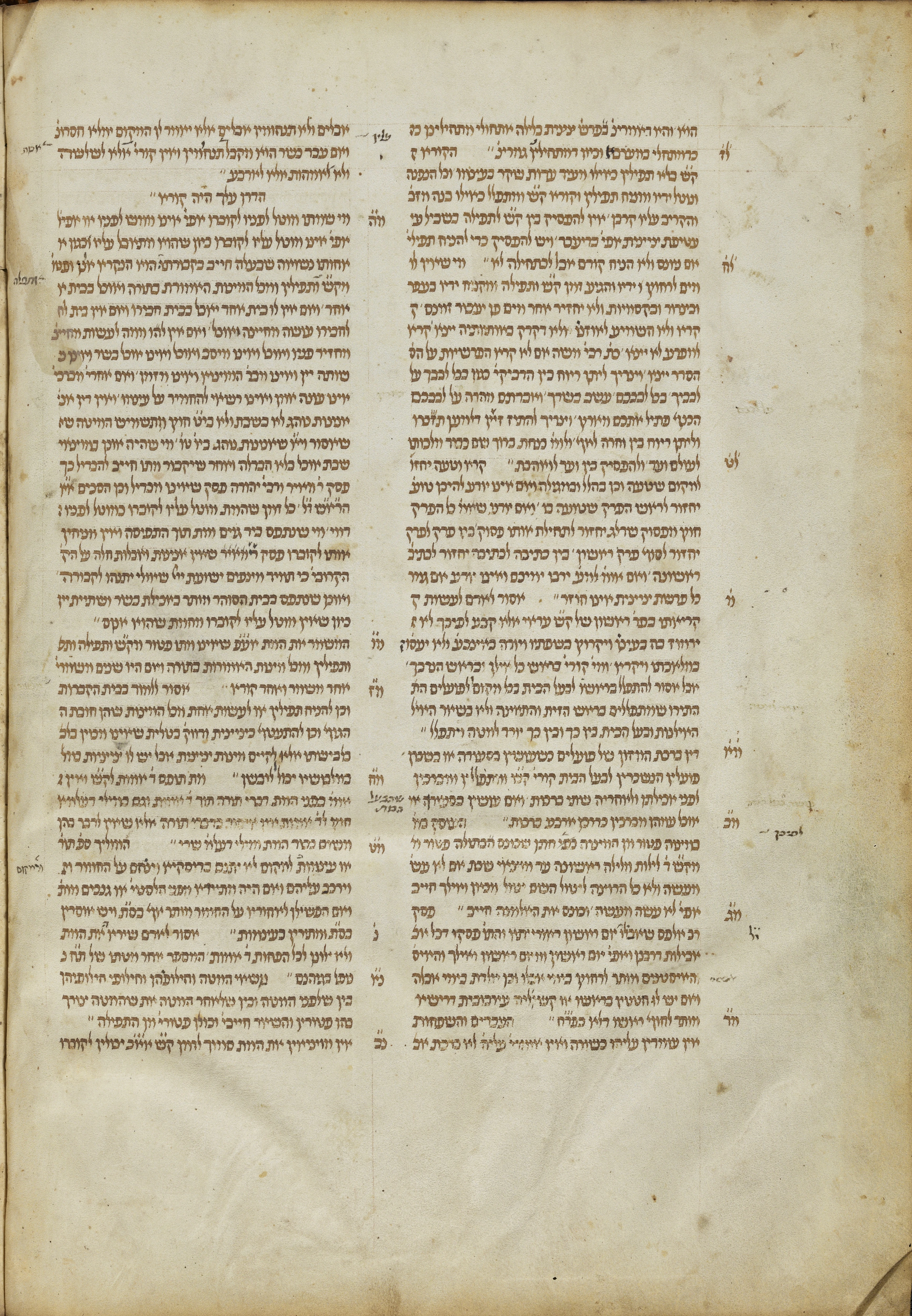 Image of item, e.g. a manuscript page