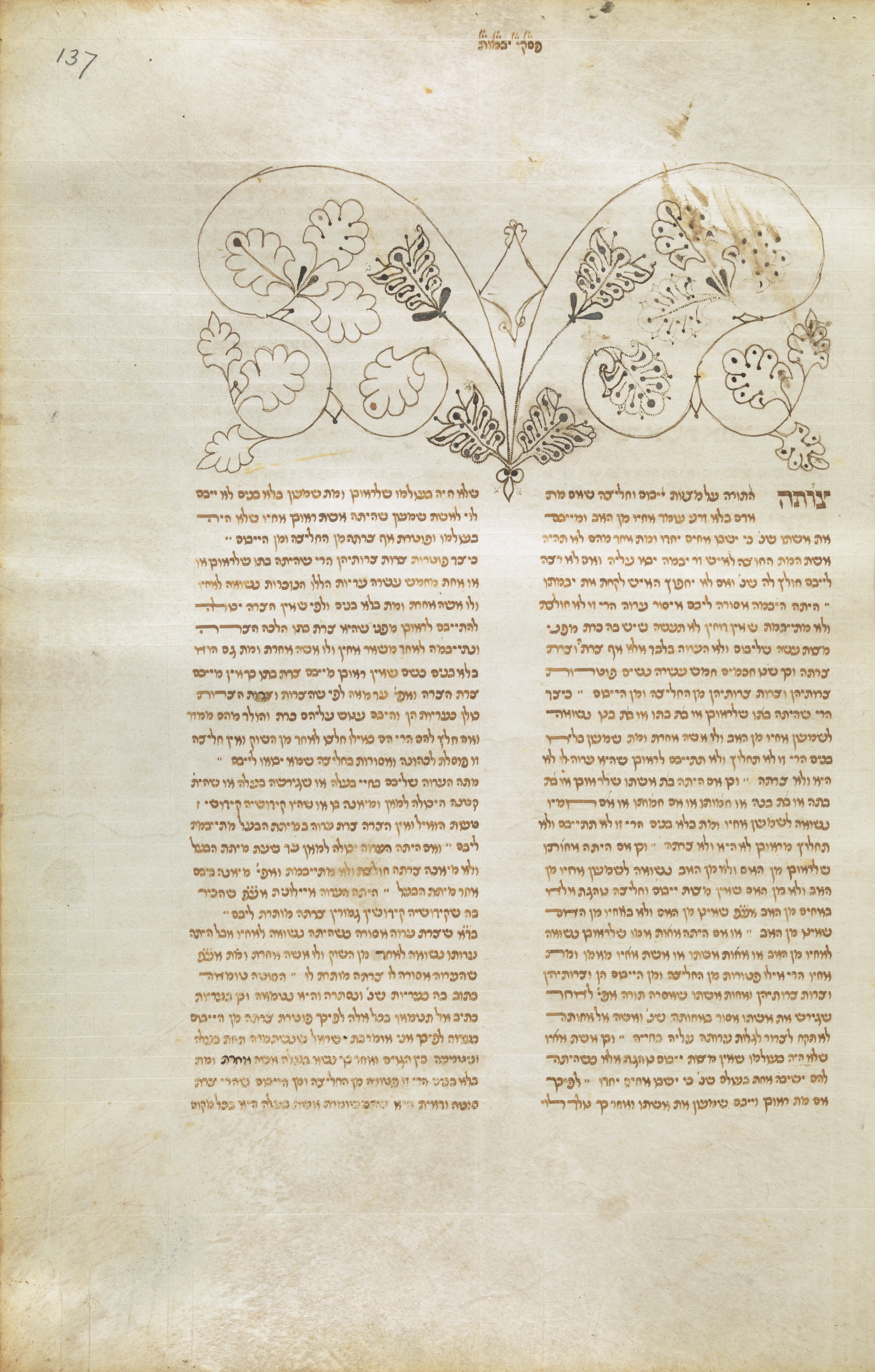 Image of item, e.g. a manuscript page