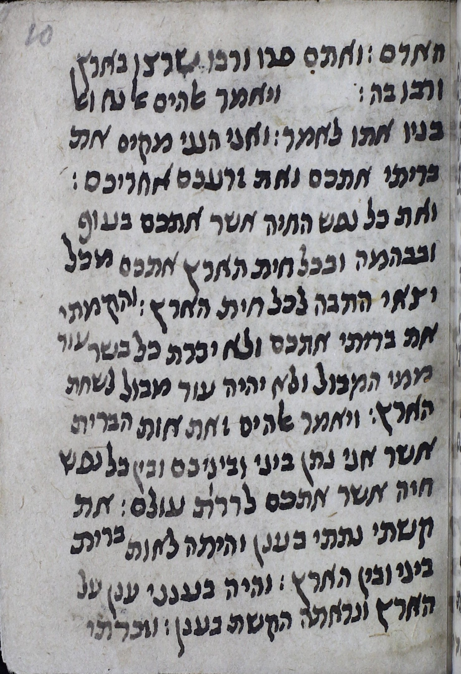 Image of item, e.g. a manuscript page