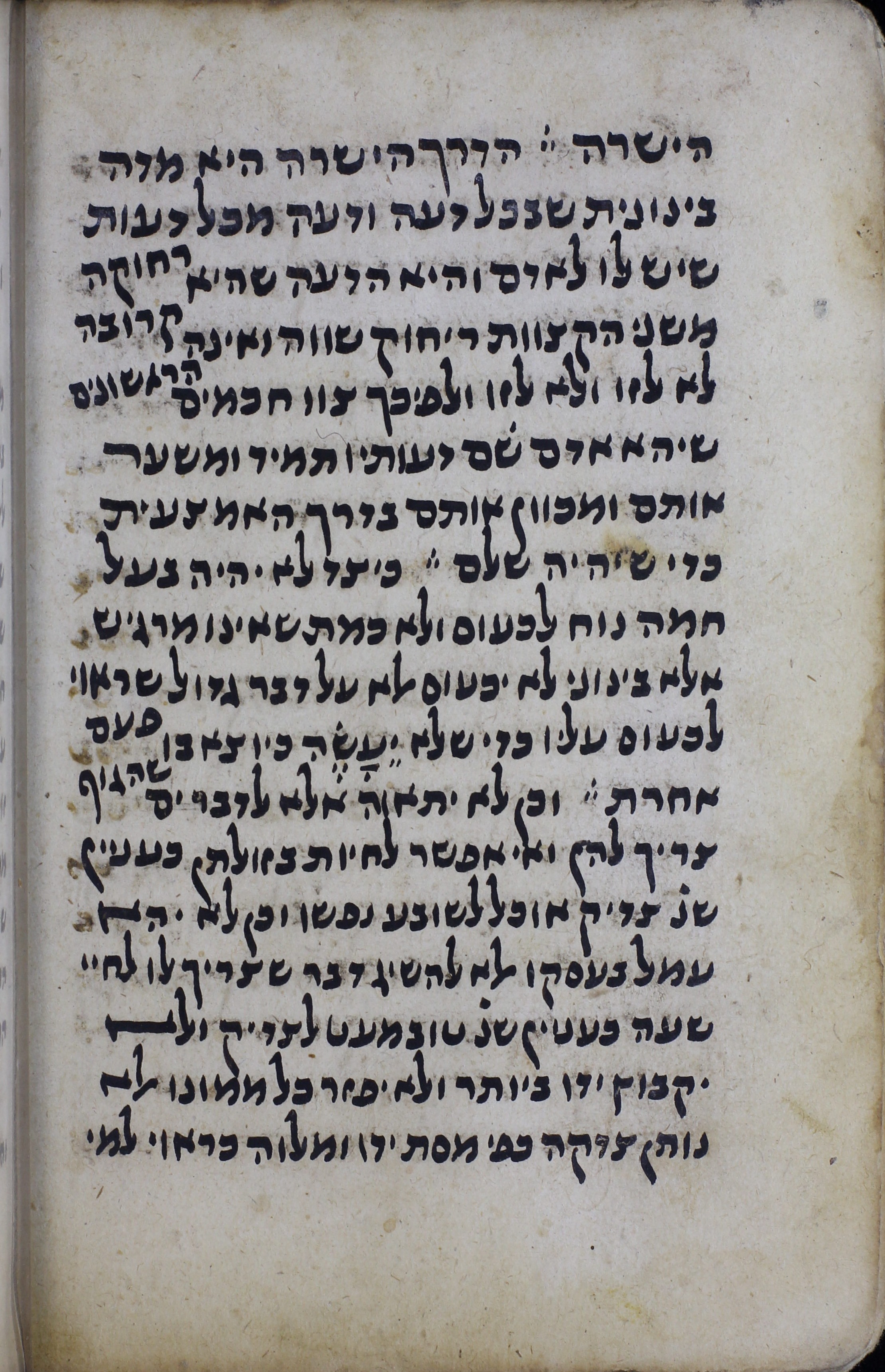 Image of item, e.g. a manuscript page