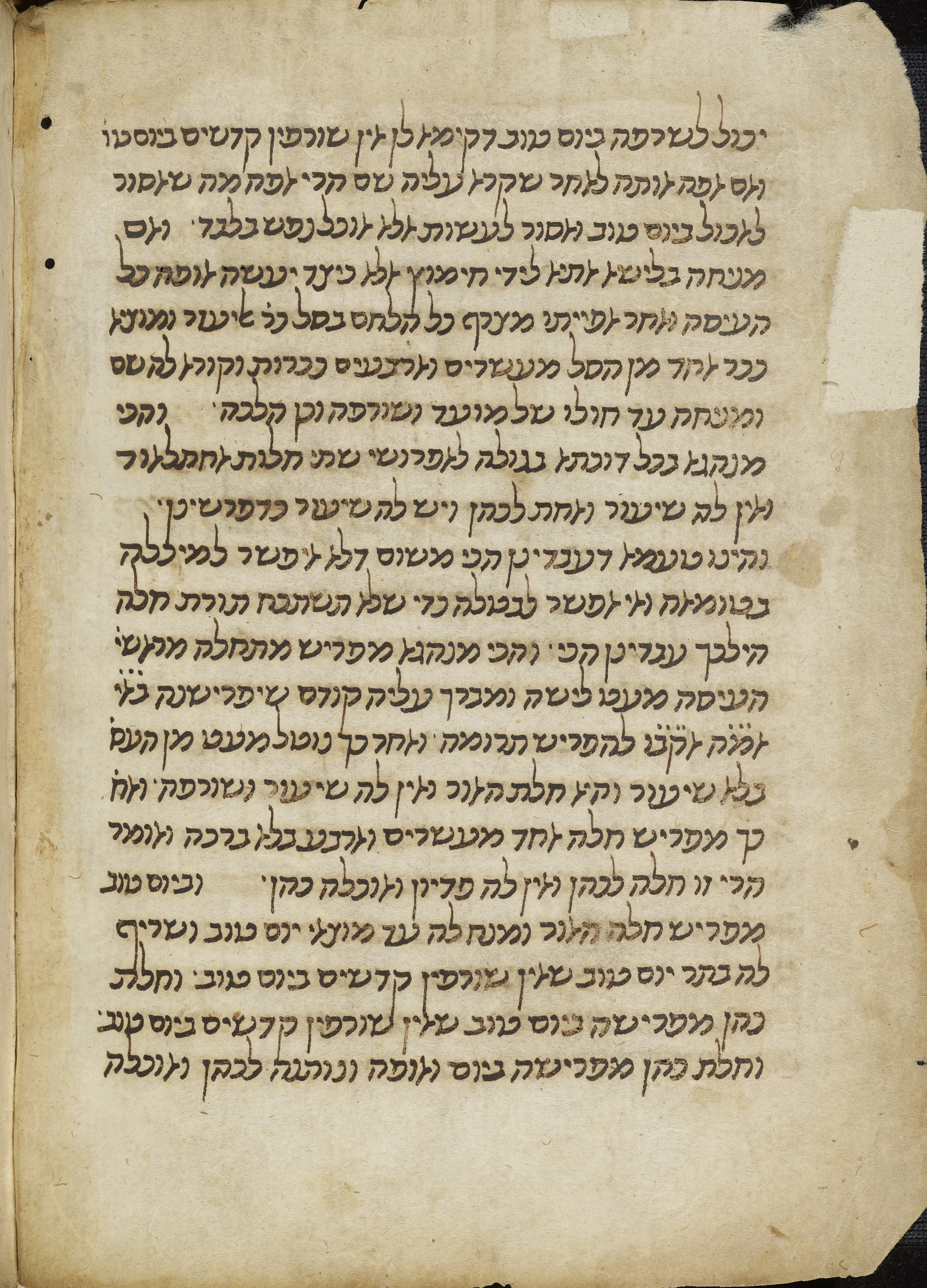 Image of item, e.g. a manuscript page