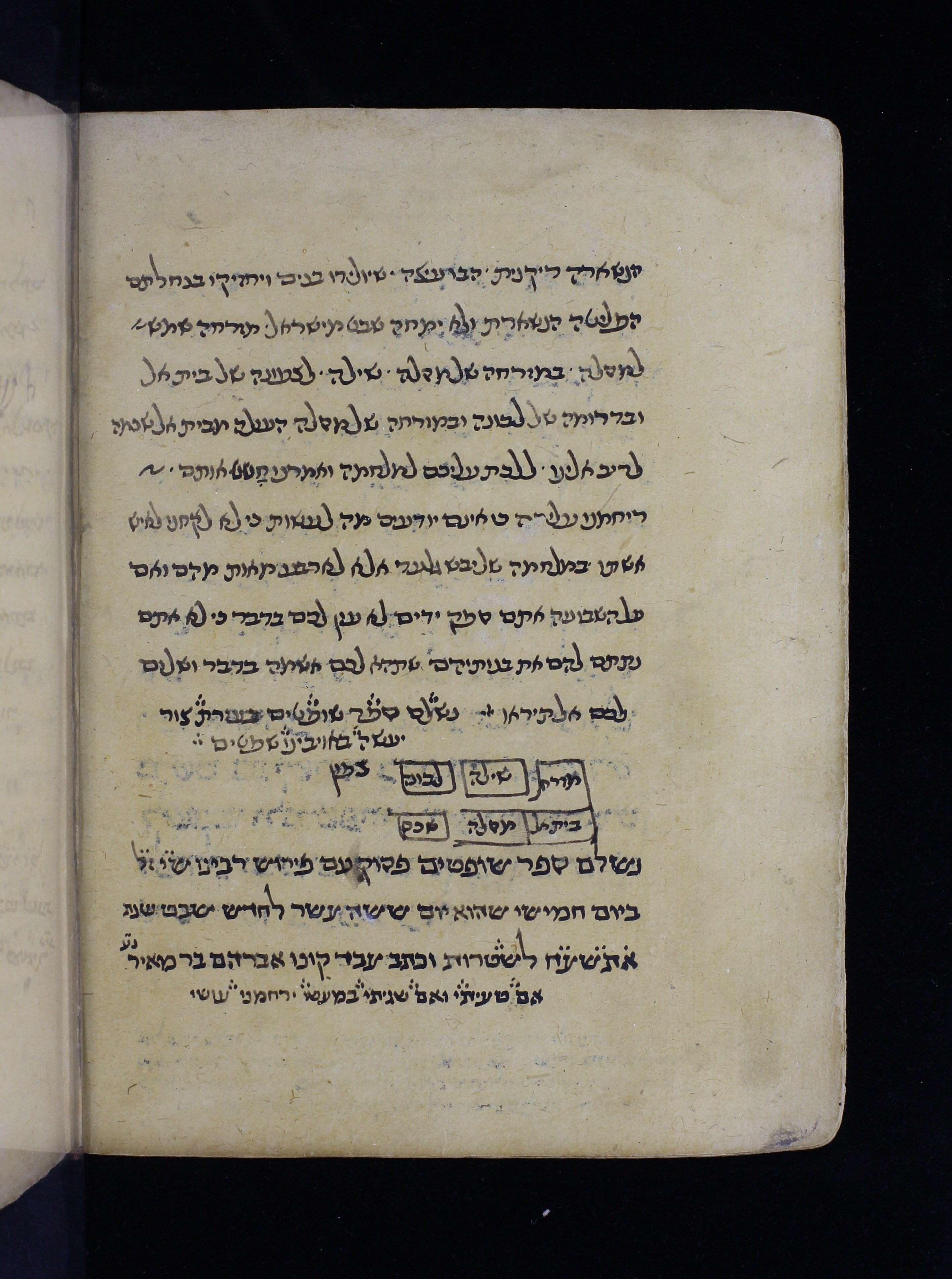 Image of item, e.g. a manuscript page