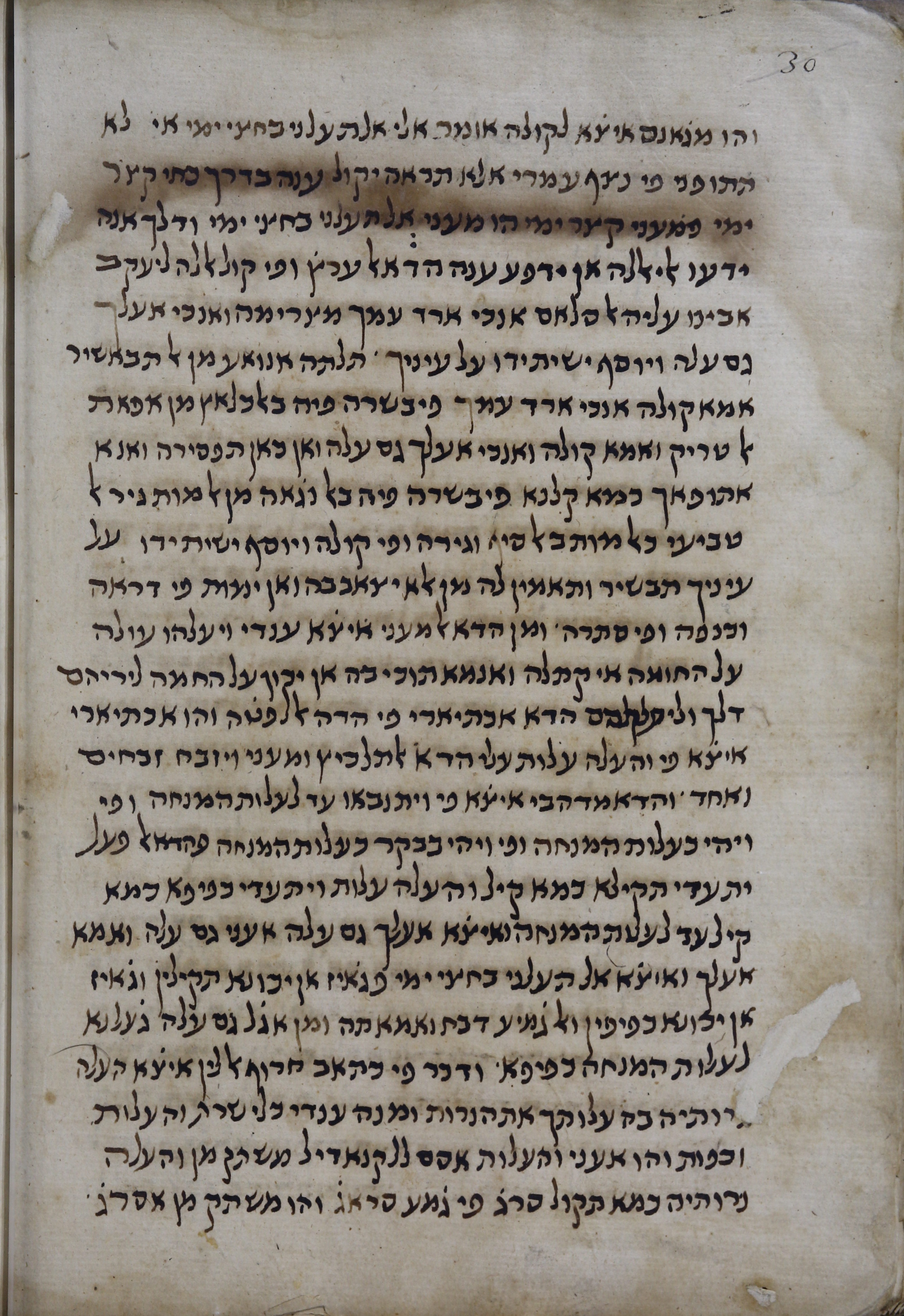 Image of item, e.g. a manuscript page