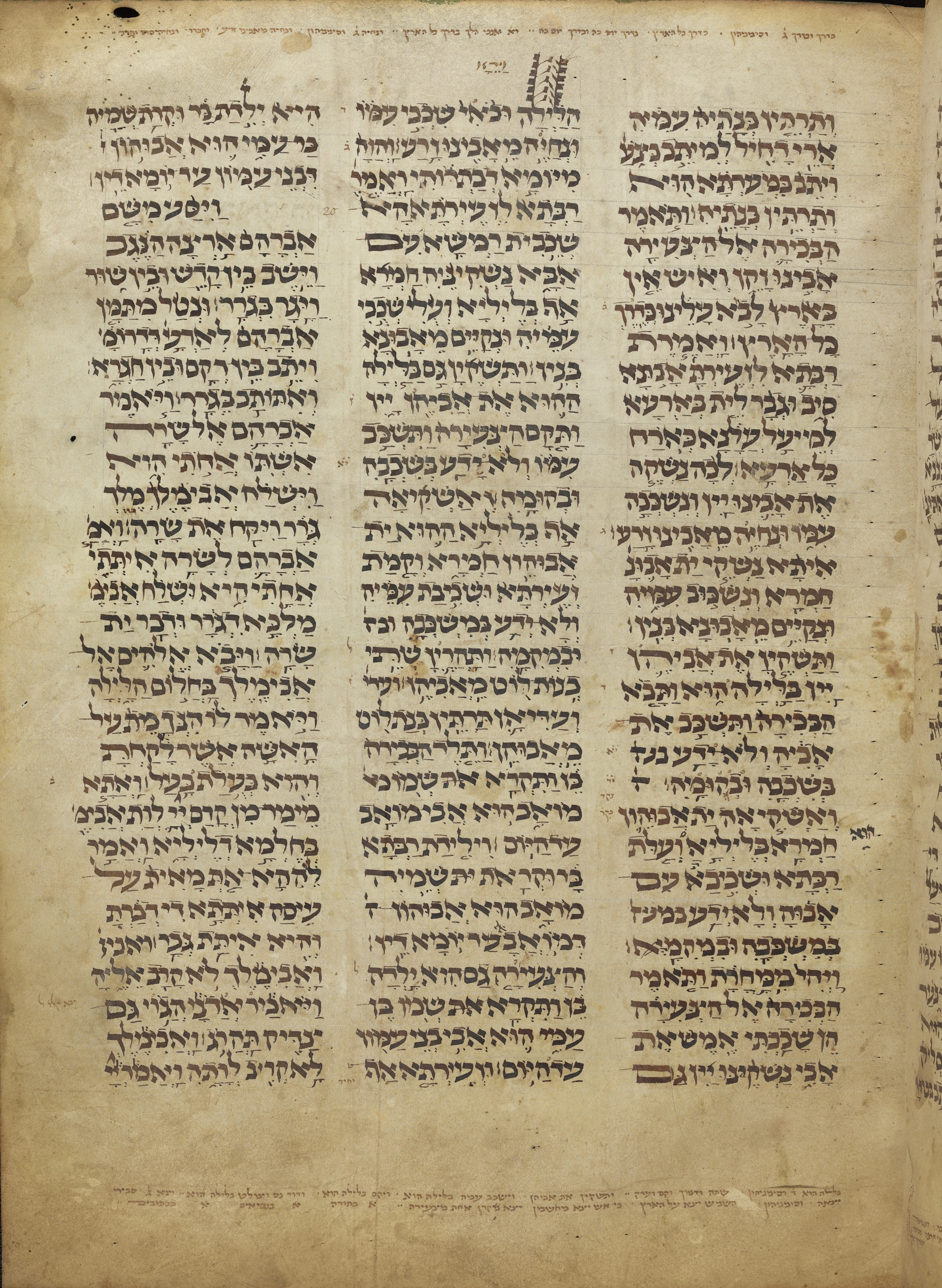 Image of item, e.g. a manuscript page