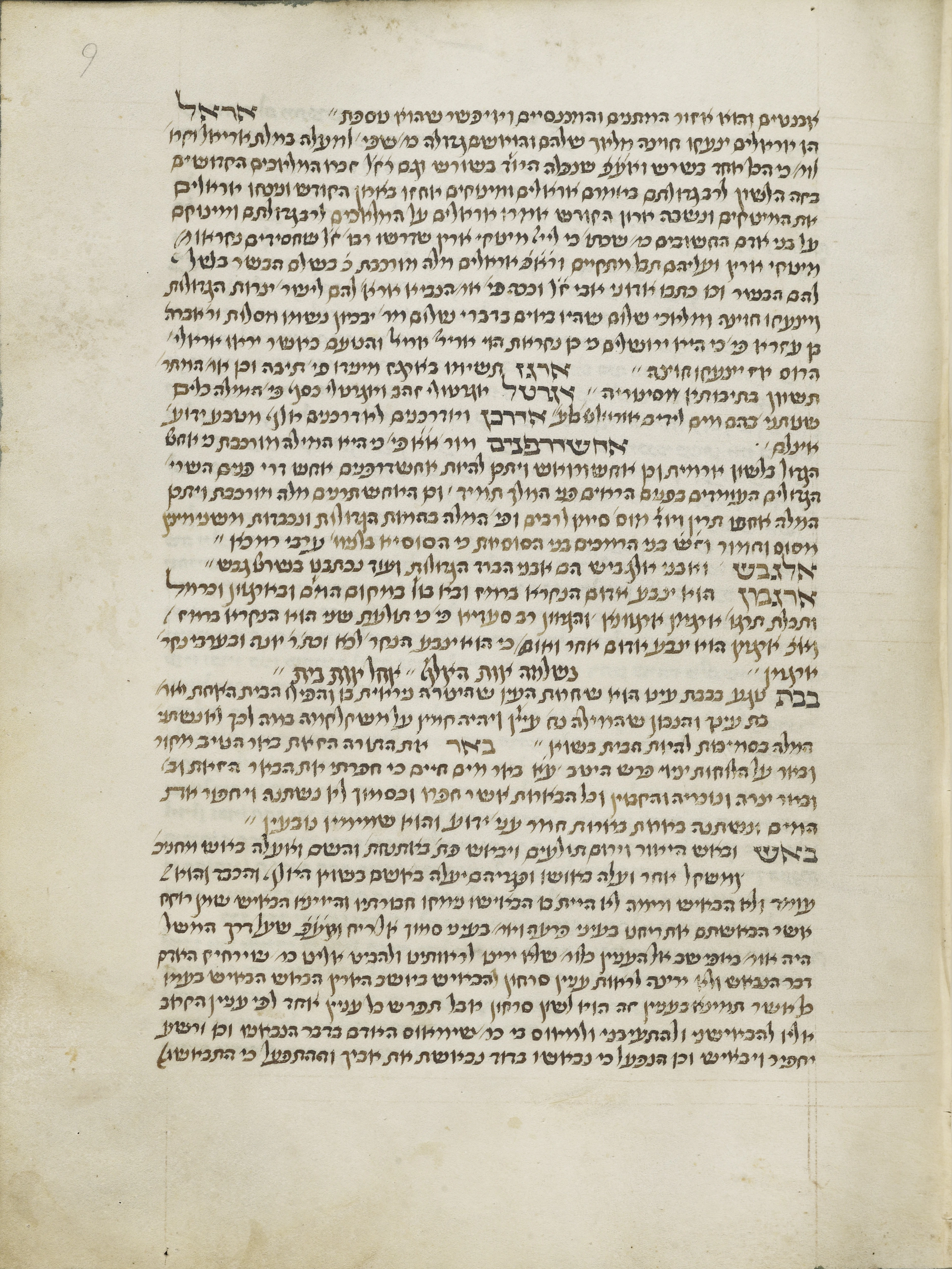 Image of item, e.g. a manuscript page