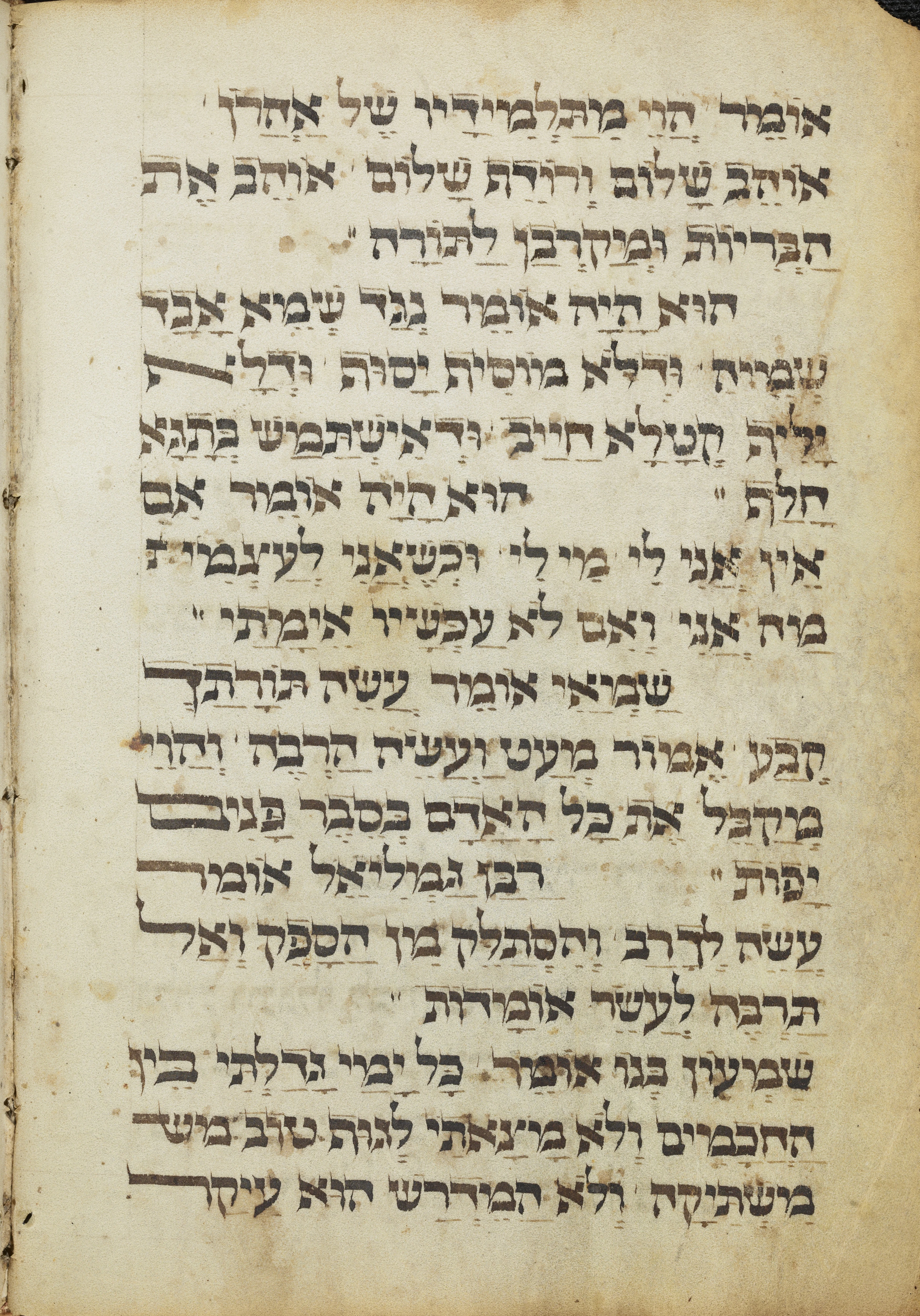 Image of item, e.g. a manuscript page