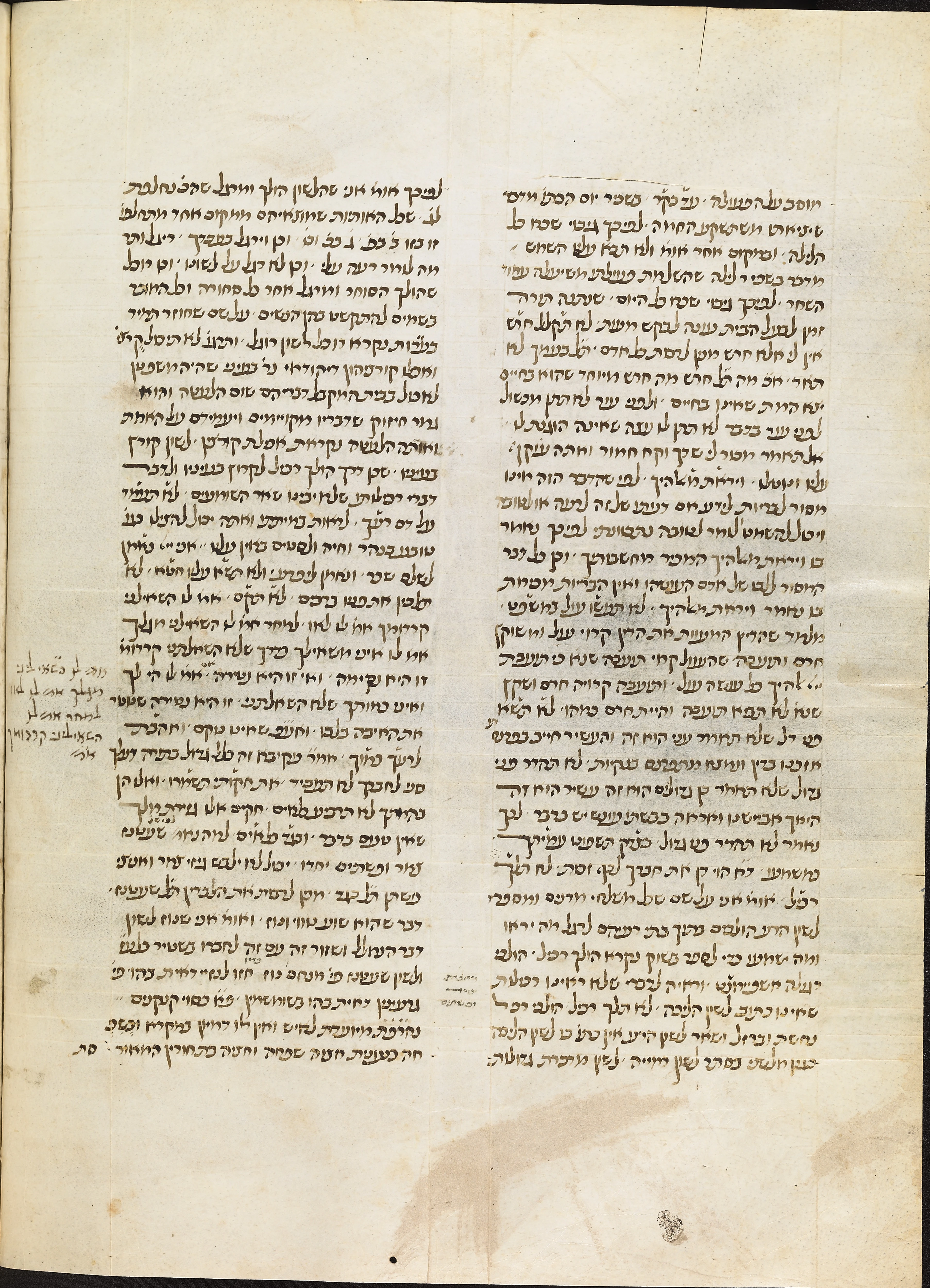 Image of item, e.g. a manuscript page