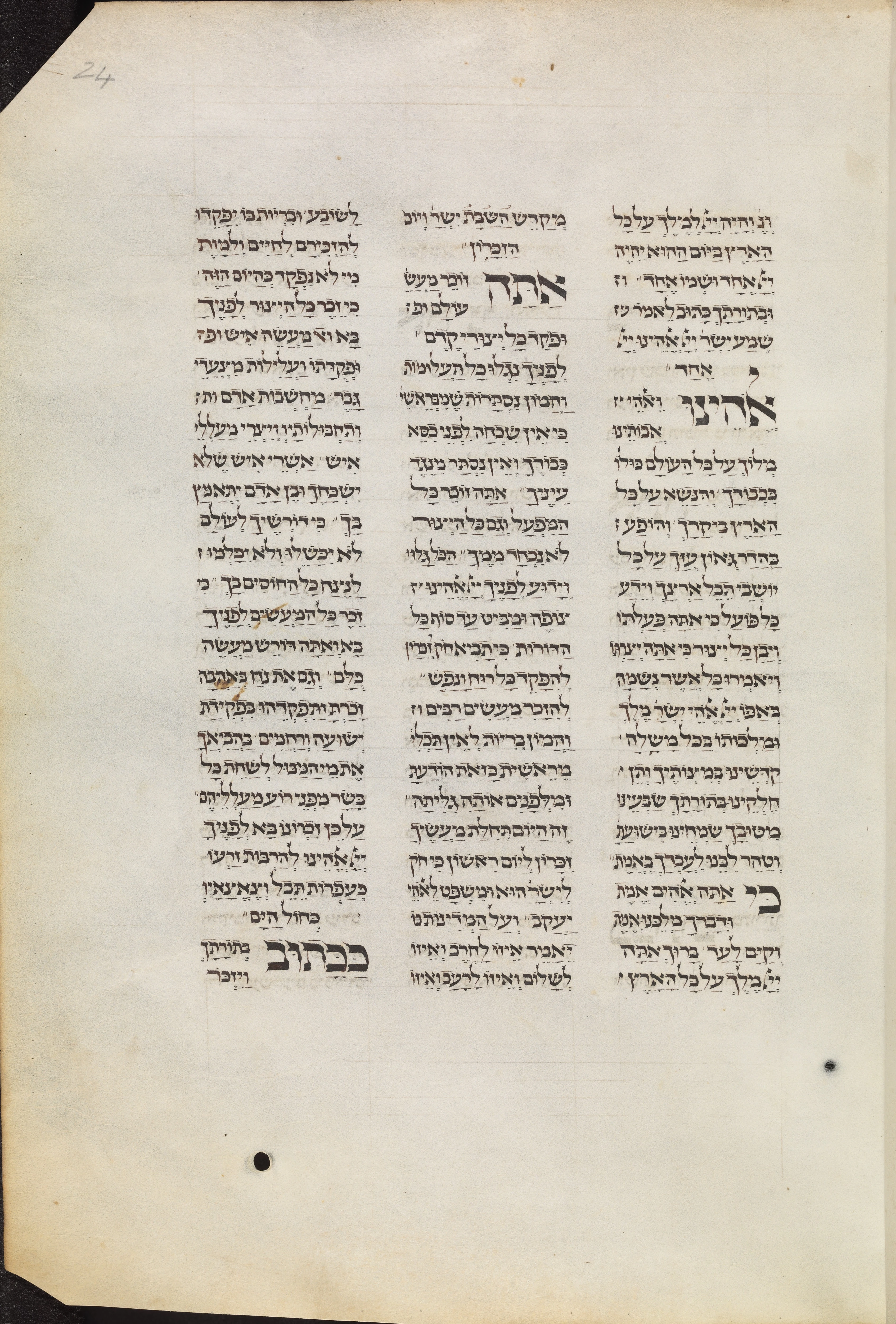 Image of item, e.g. a manuscript page
