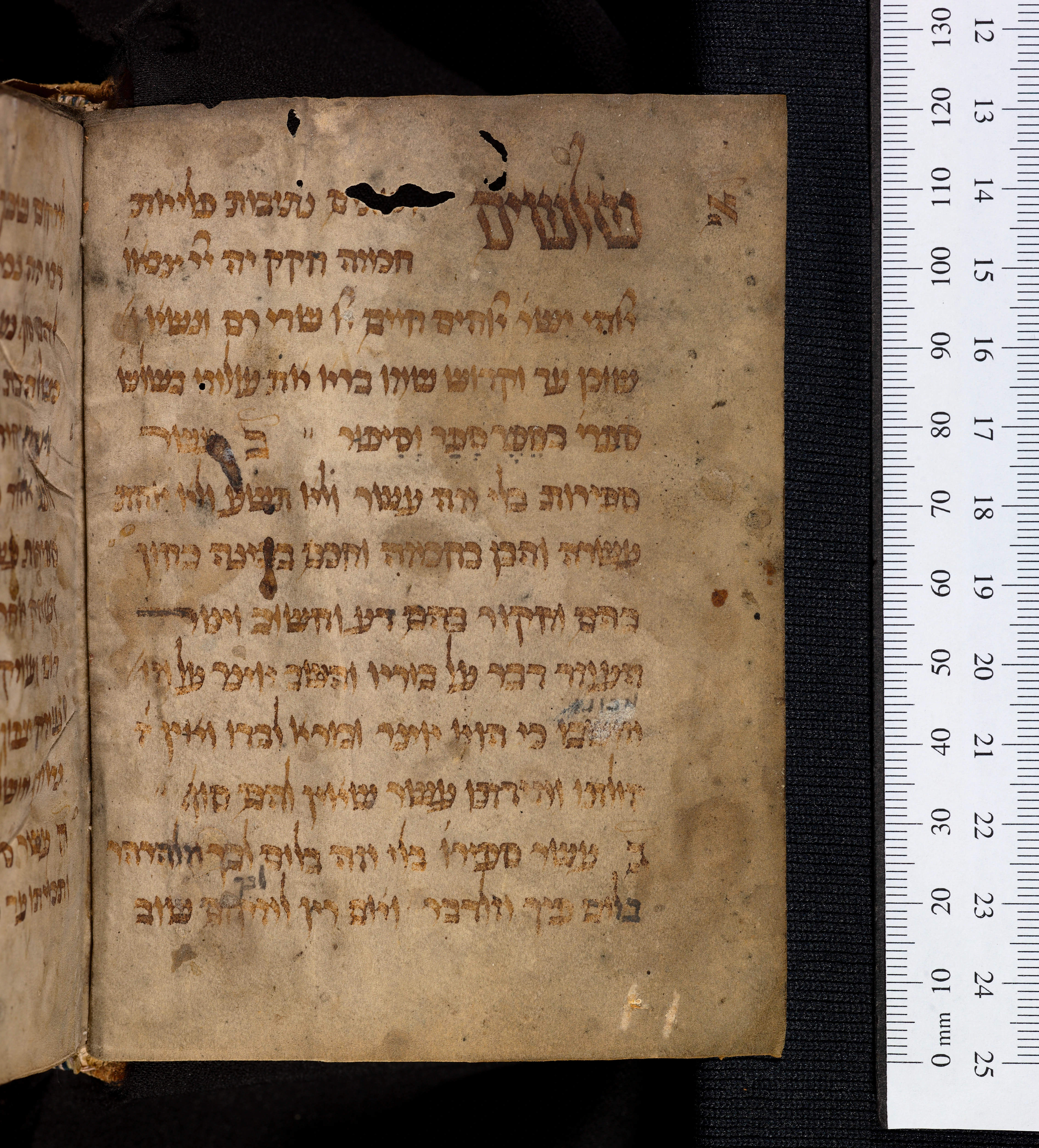 Image of item, e.g. a manuscript page