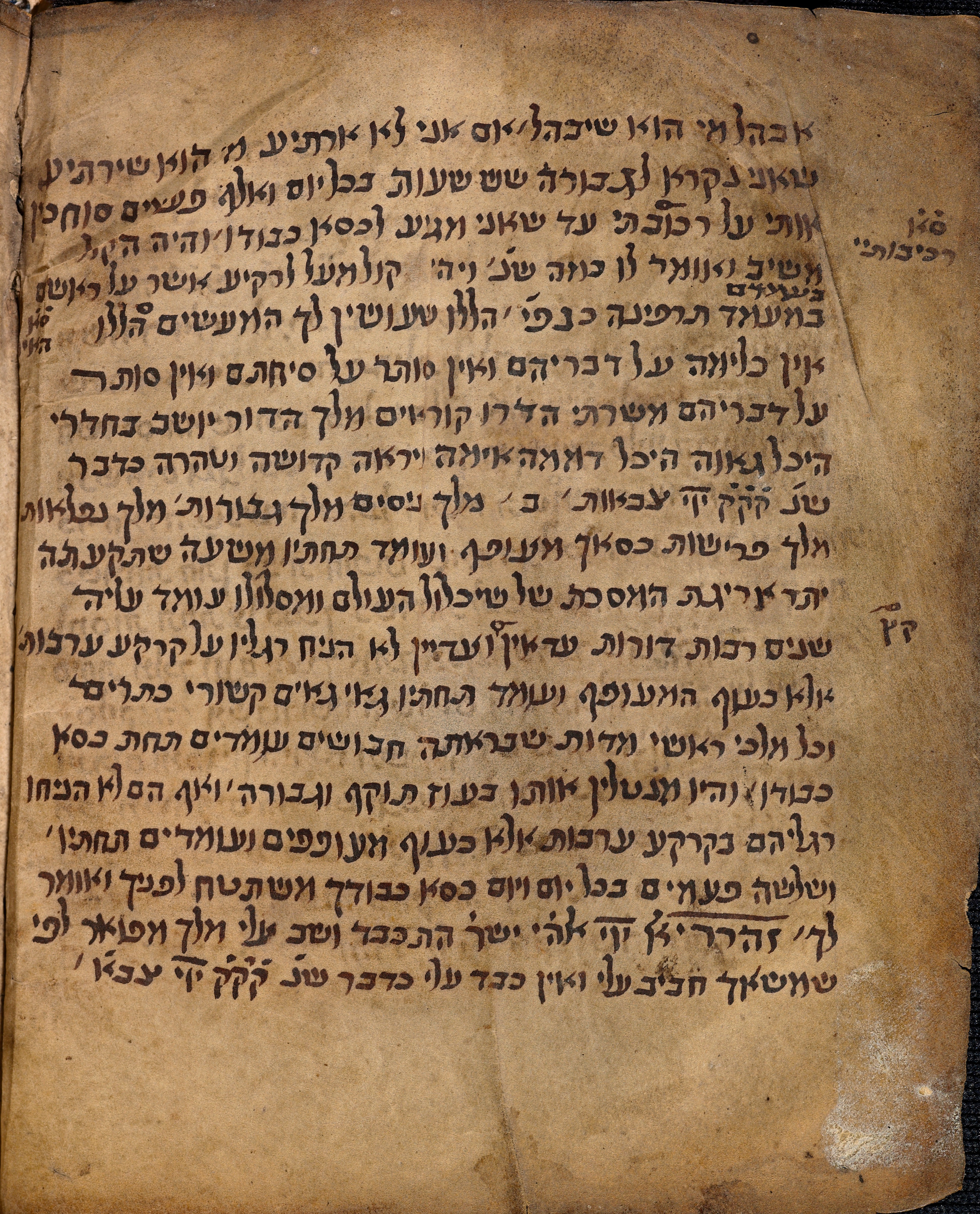 Image of item, e.g. a manuscript page
