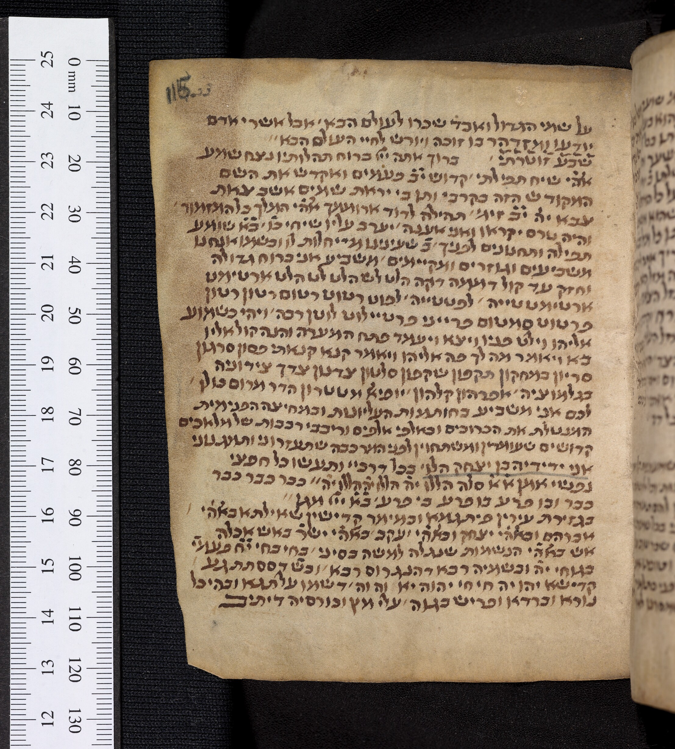 Image of item, e.g. a manuscript page