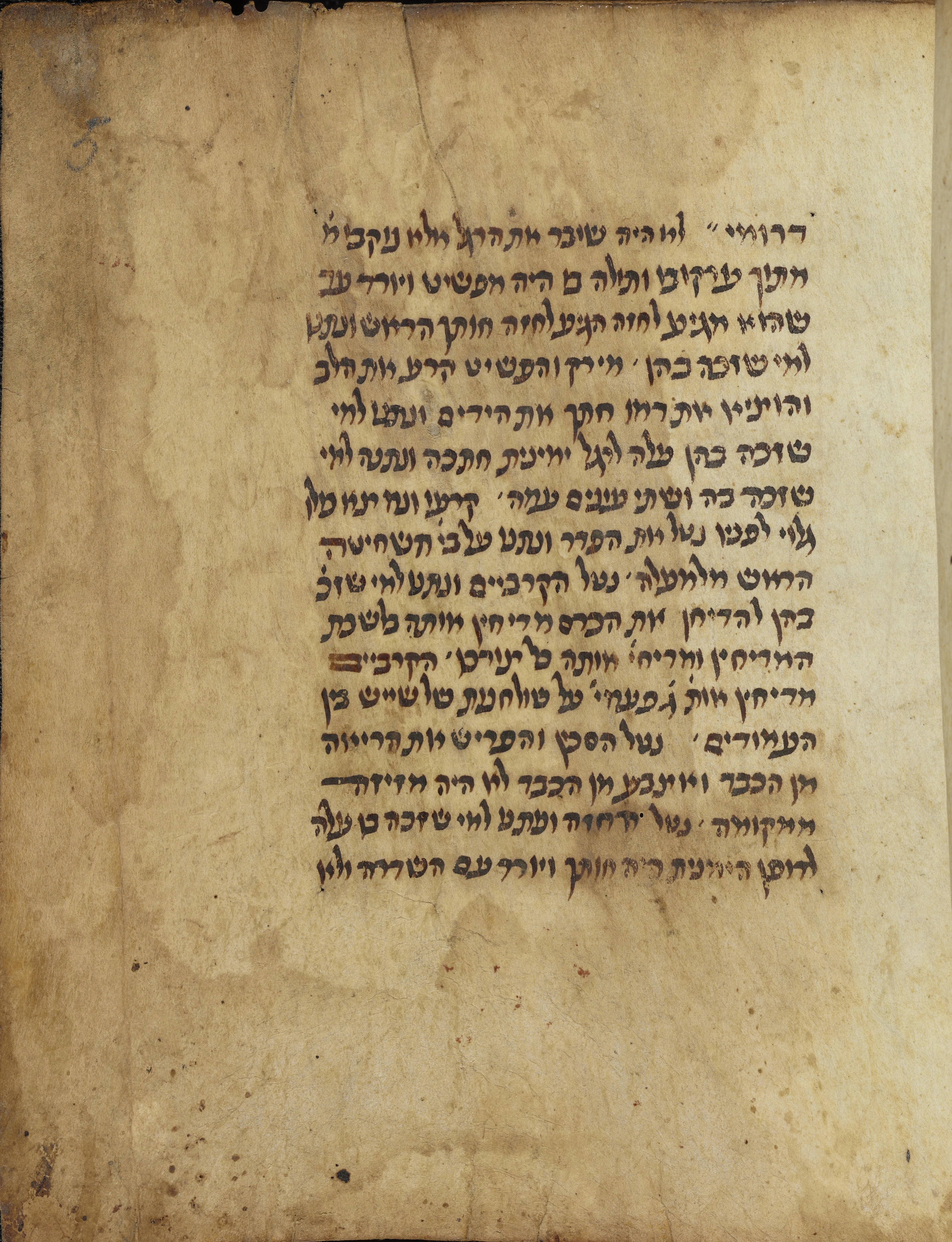 Image of item, e.g. a manuscript page