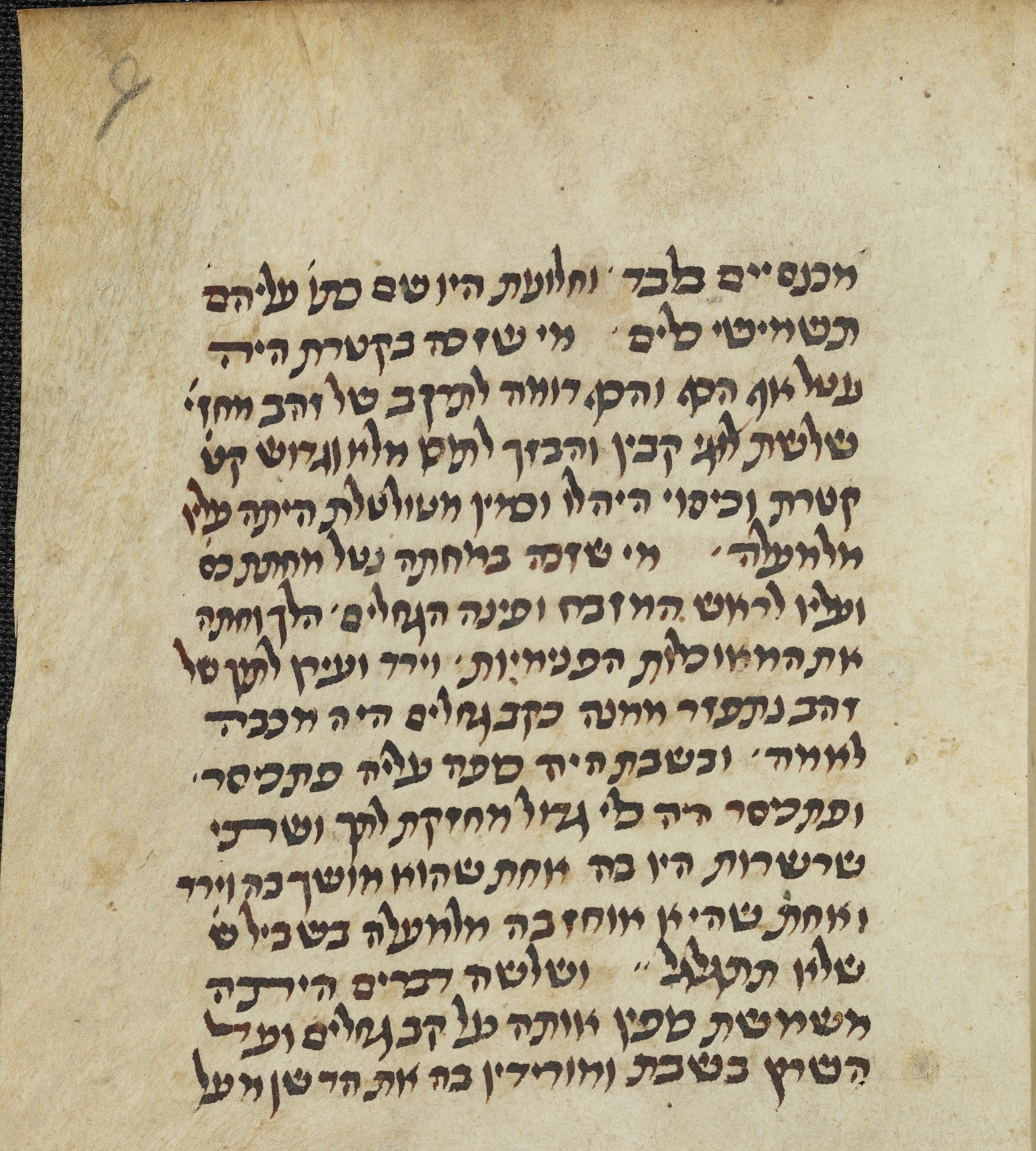 Image of item, e.g. a manuscript page