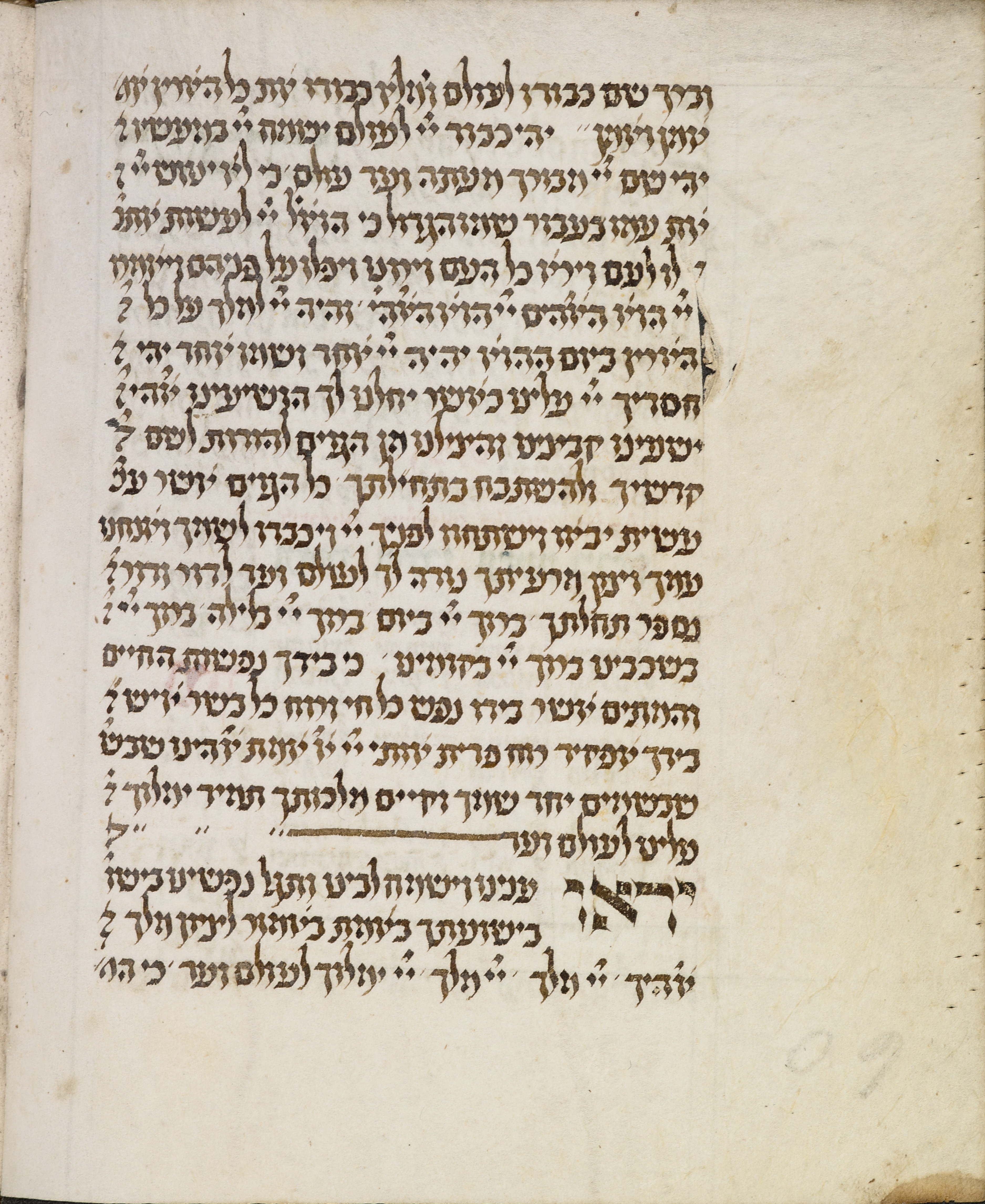 Image of item, e.g. a manuscript page
