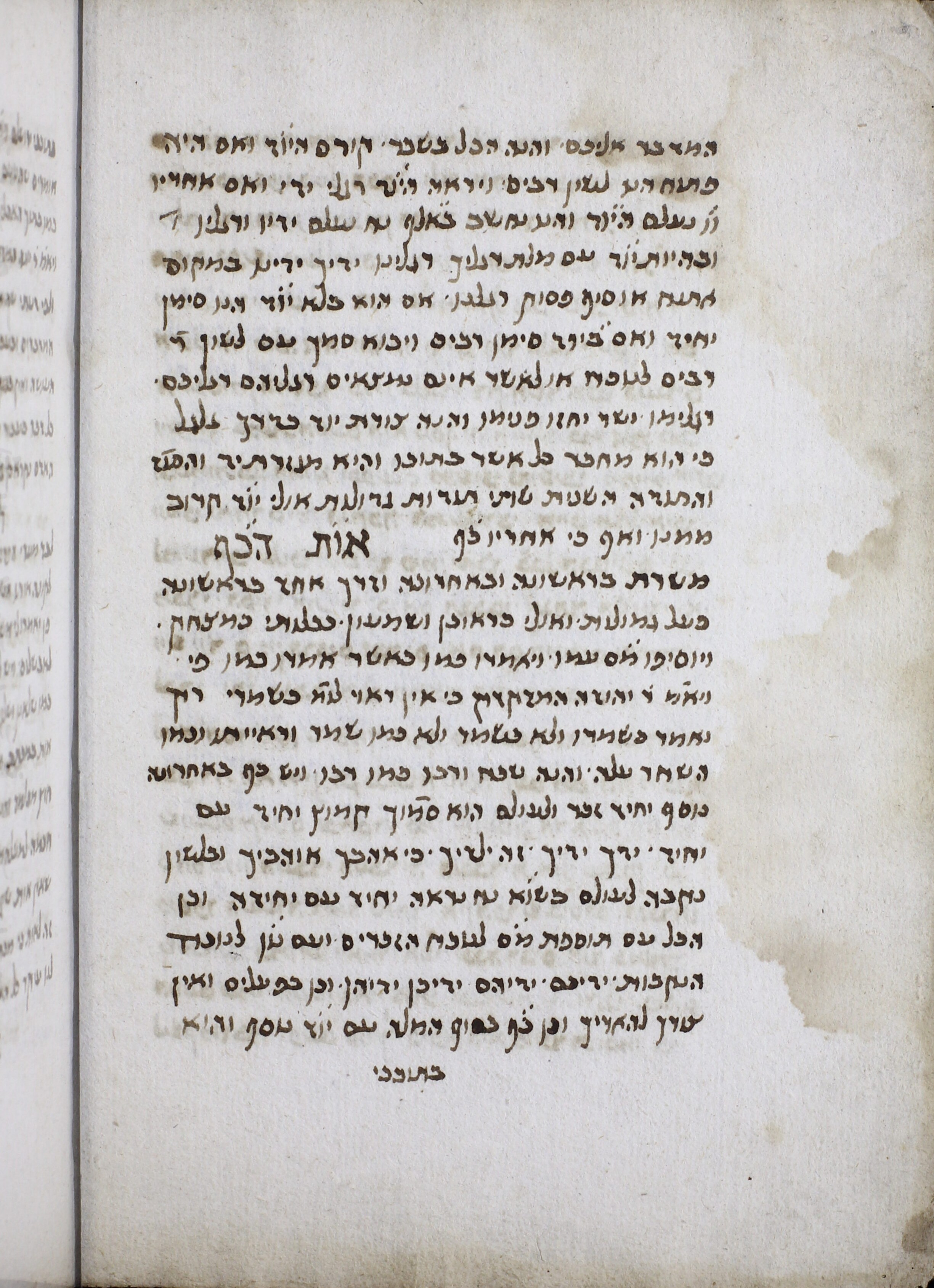 Image of item, e.g. a manuscript page