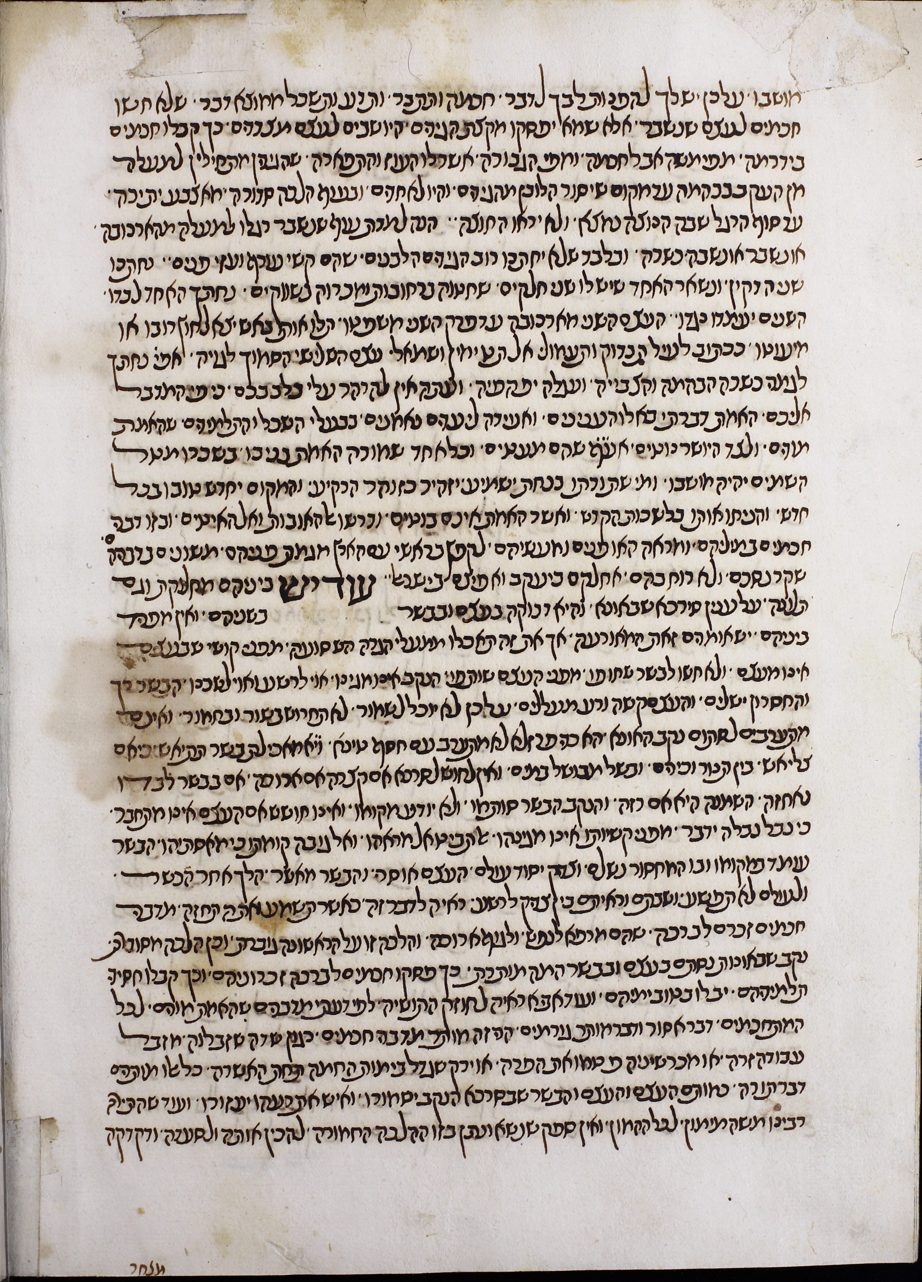Image of item, e.g. a manuscript page