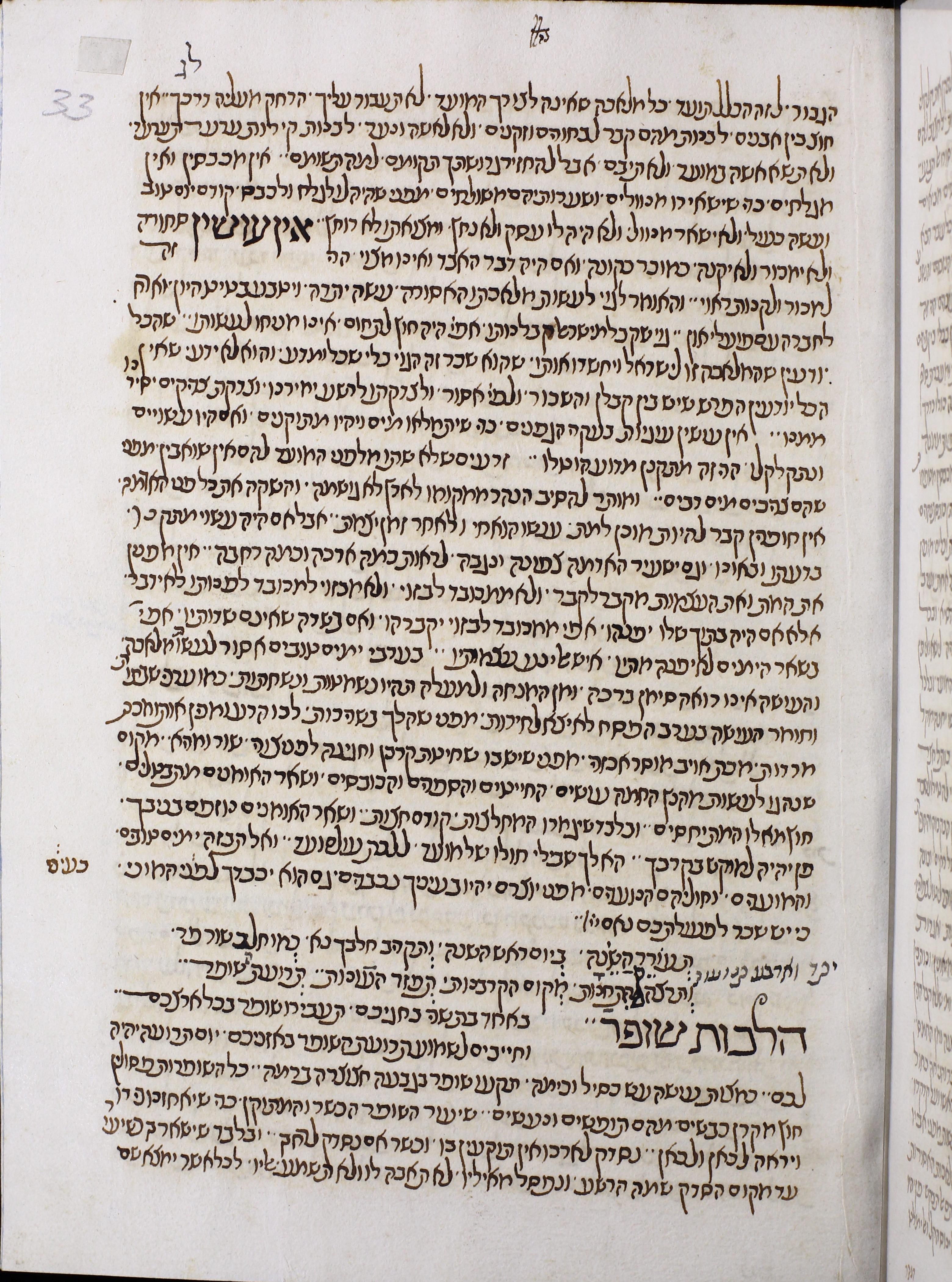 Image of item, e.g. a manuscript page
