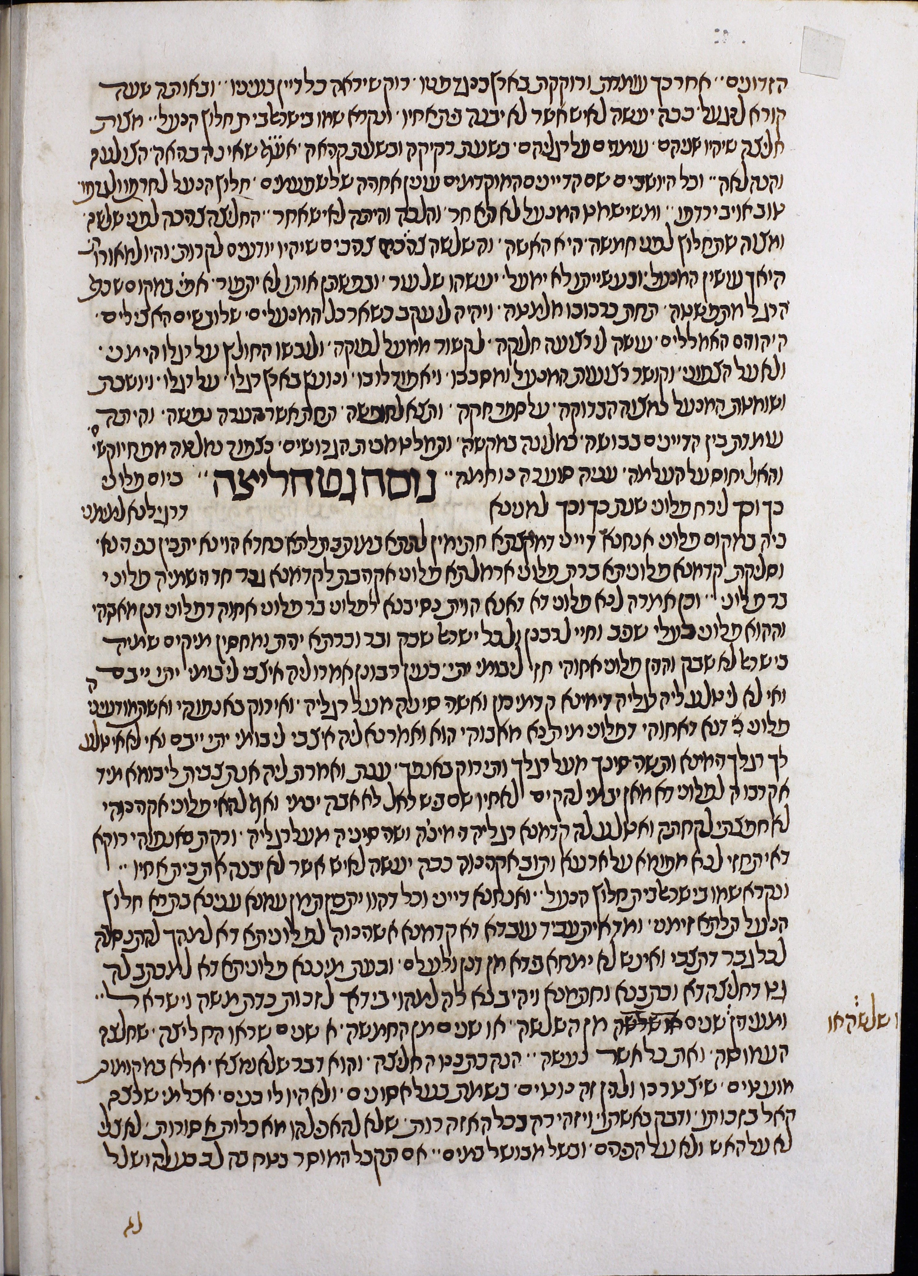 Image of item, e.g. a manuscript page