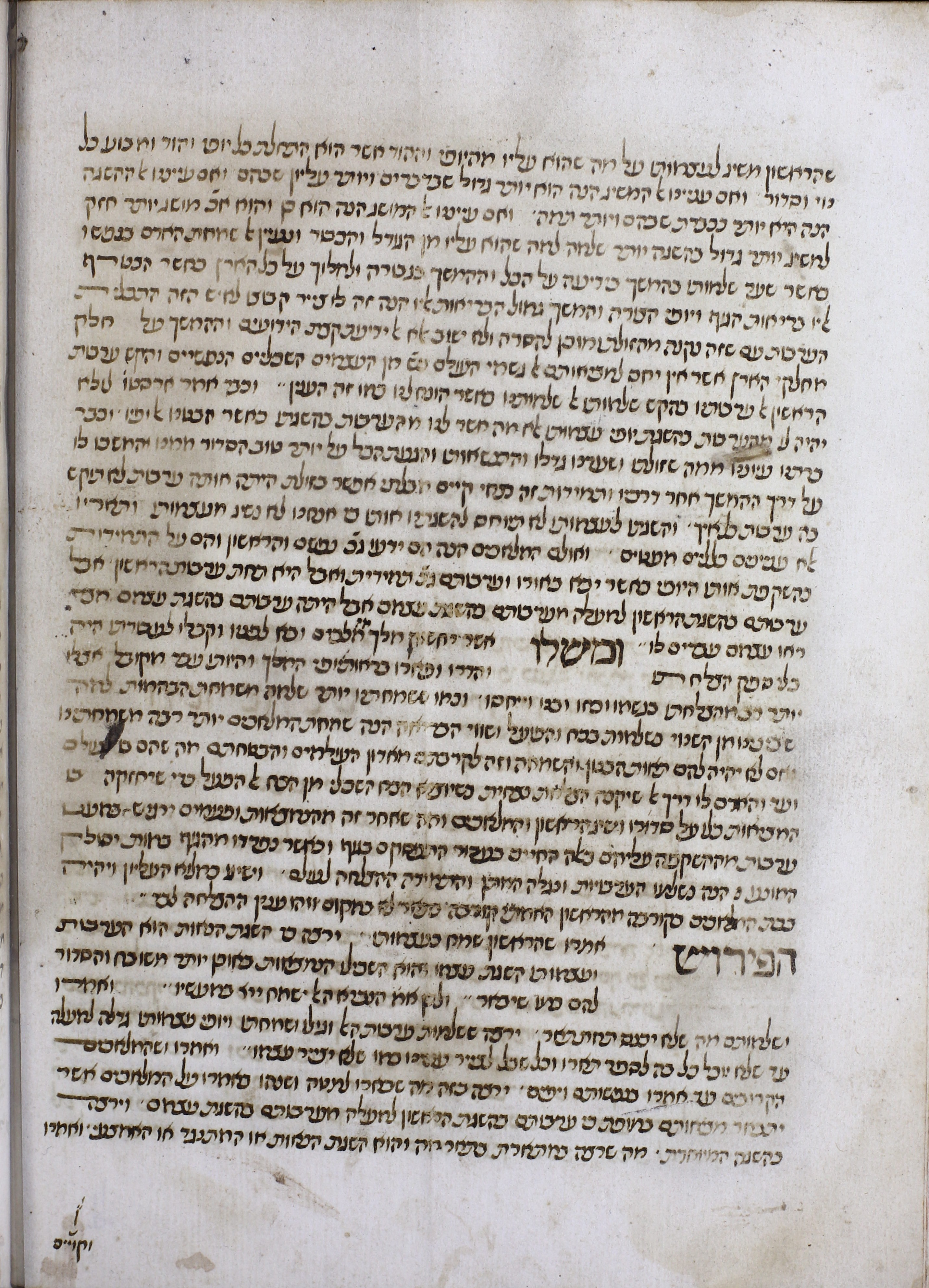 Image of item, e.g. a manuscript page