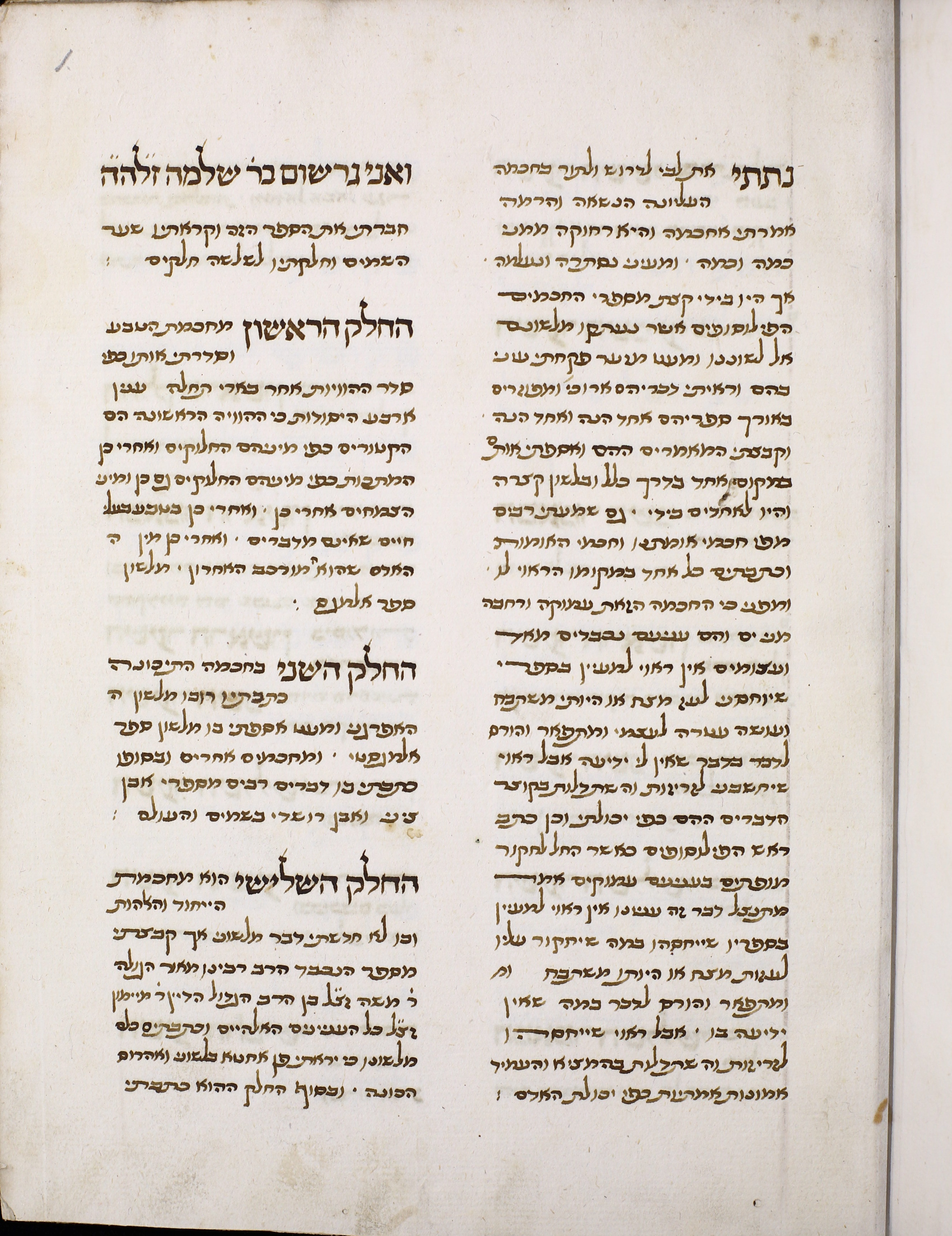 Image of item, e.g. a manuscript page