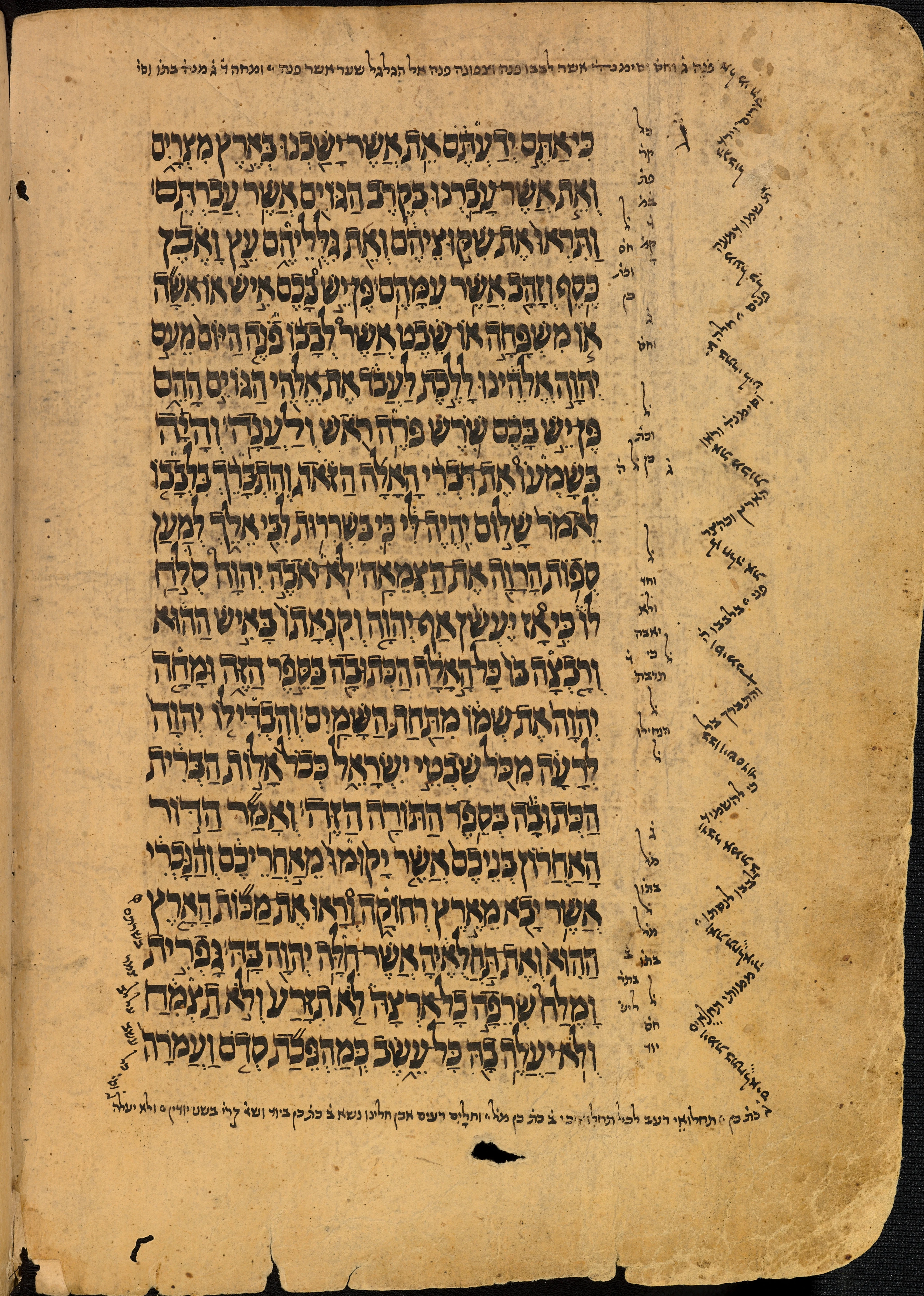 Image of item, e.g. a manuscript page