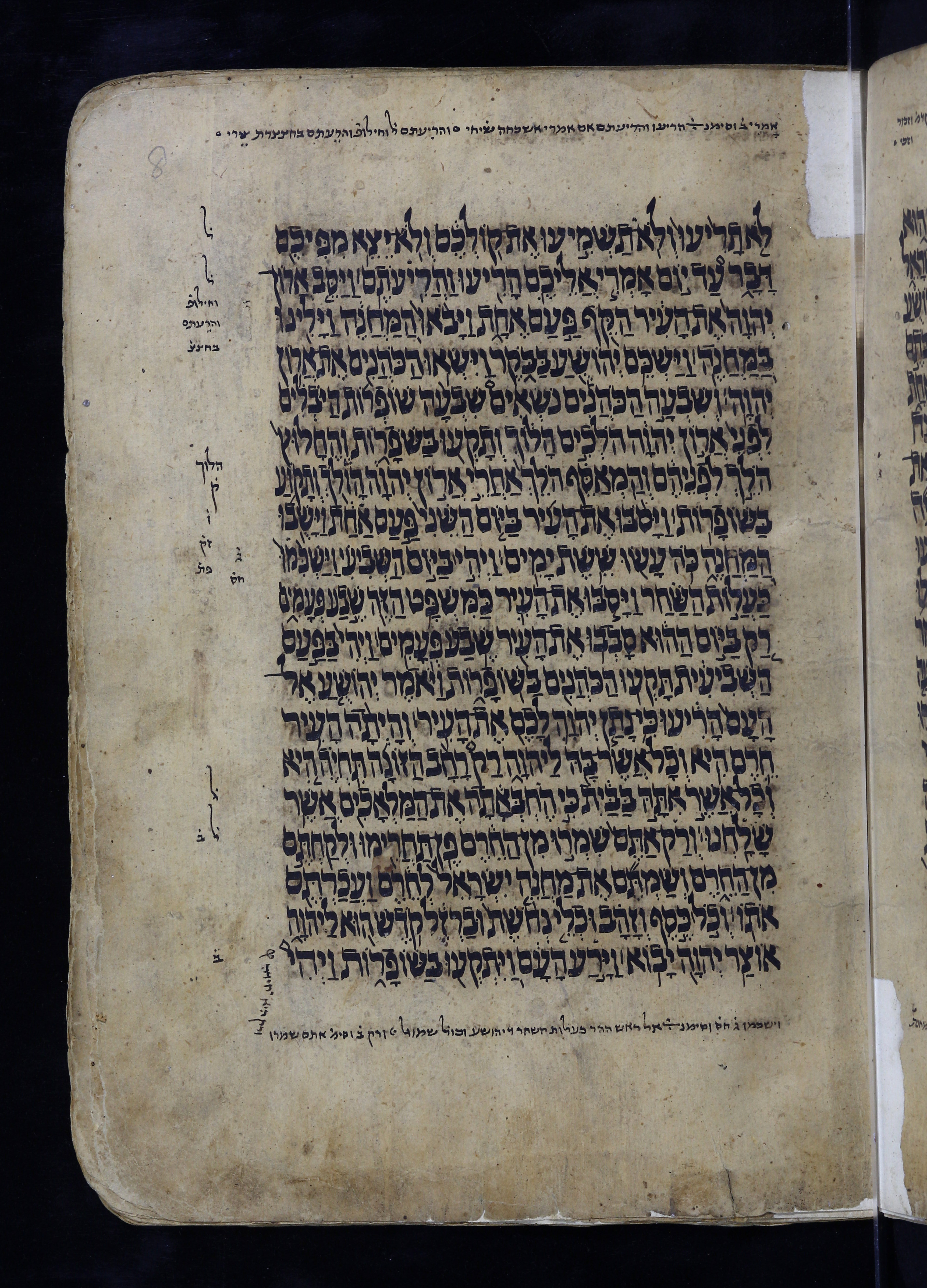 Image of item, e.g. a manuscript page