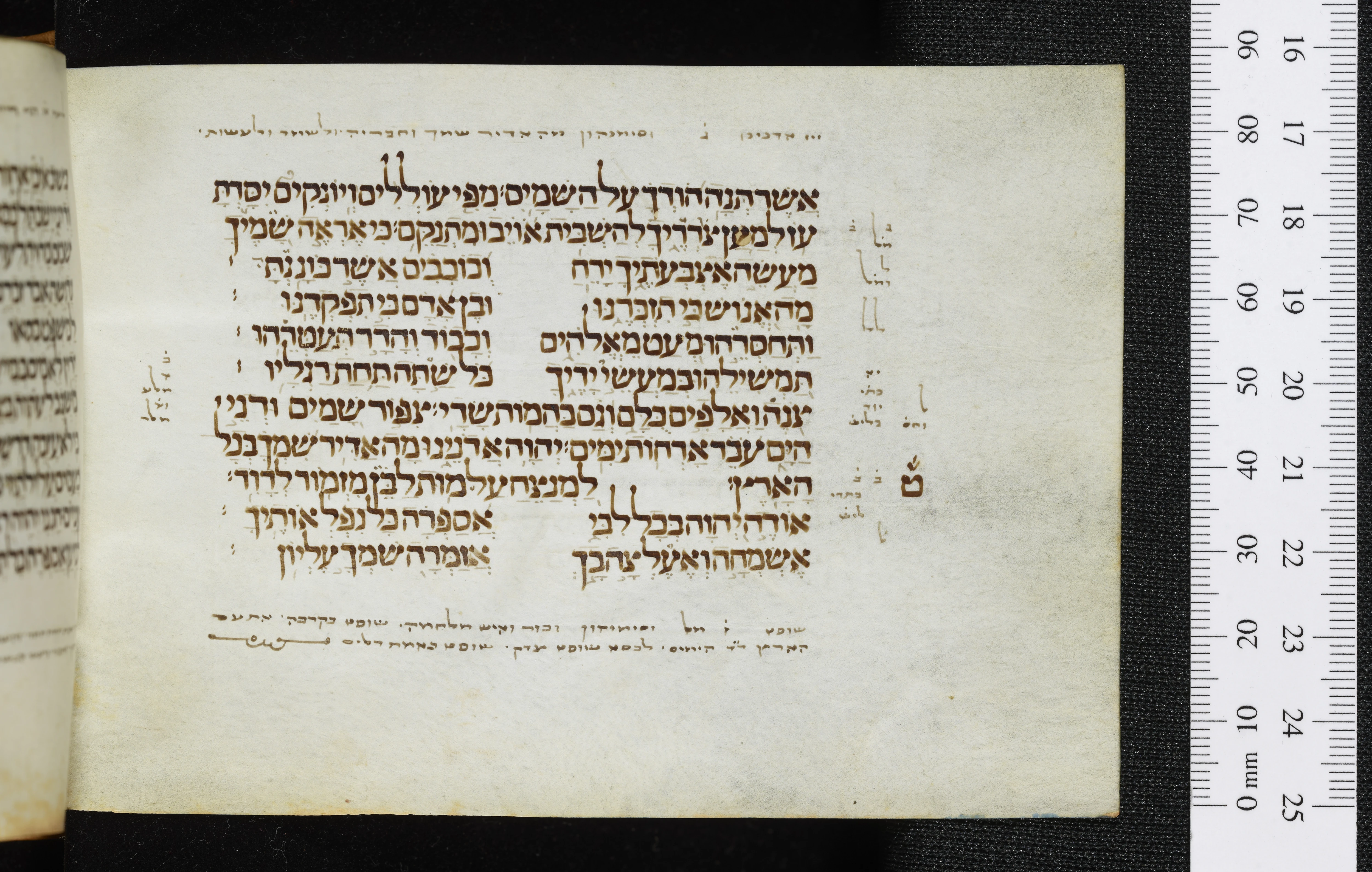 Image of item, e.g. a manuscript page