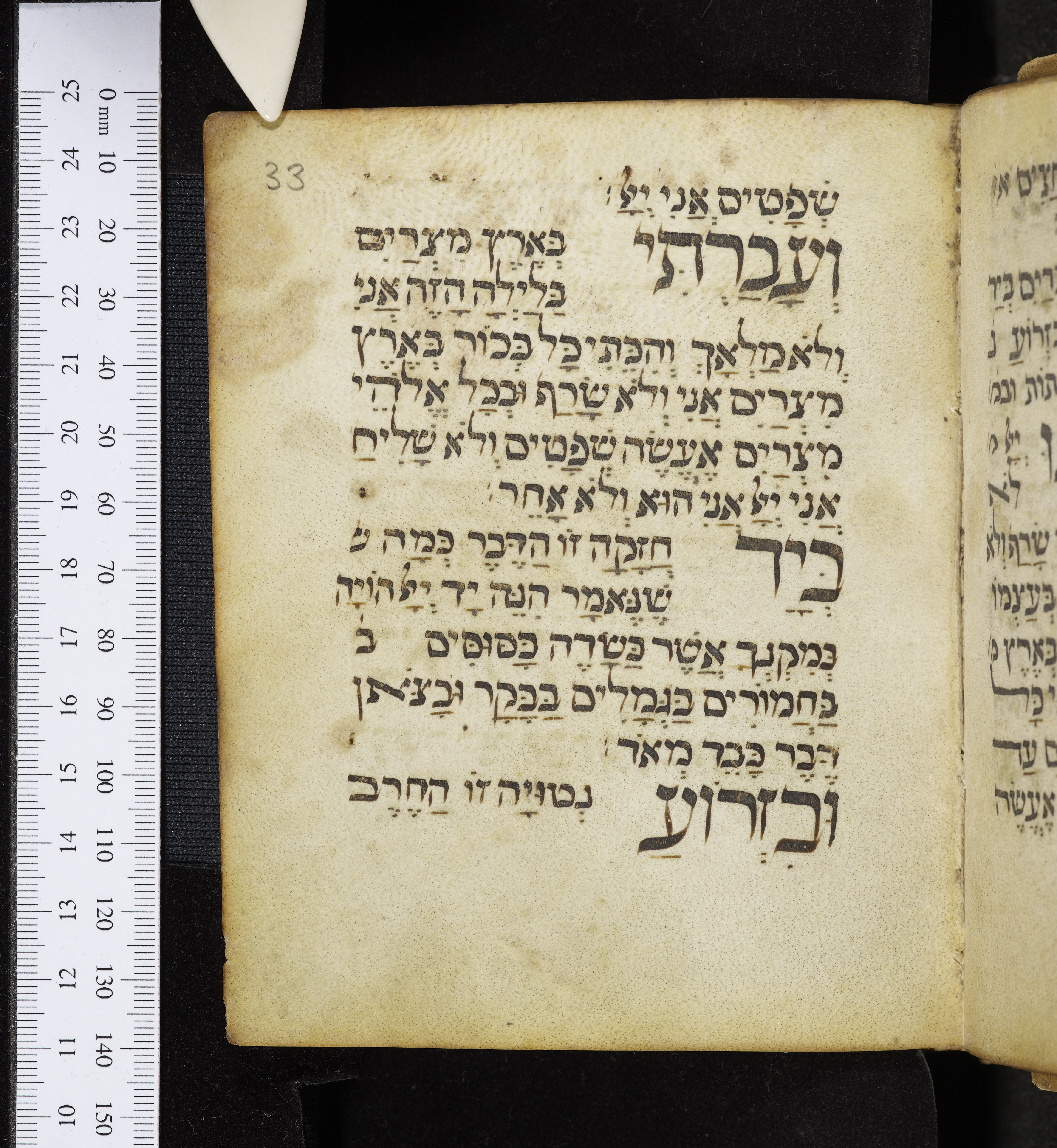 Image of item, e.g. a manuscript page