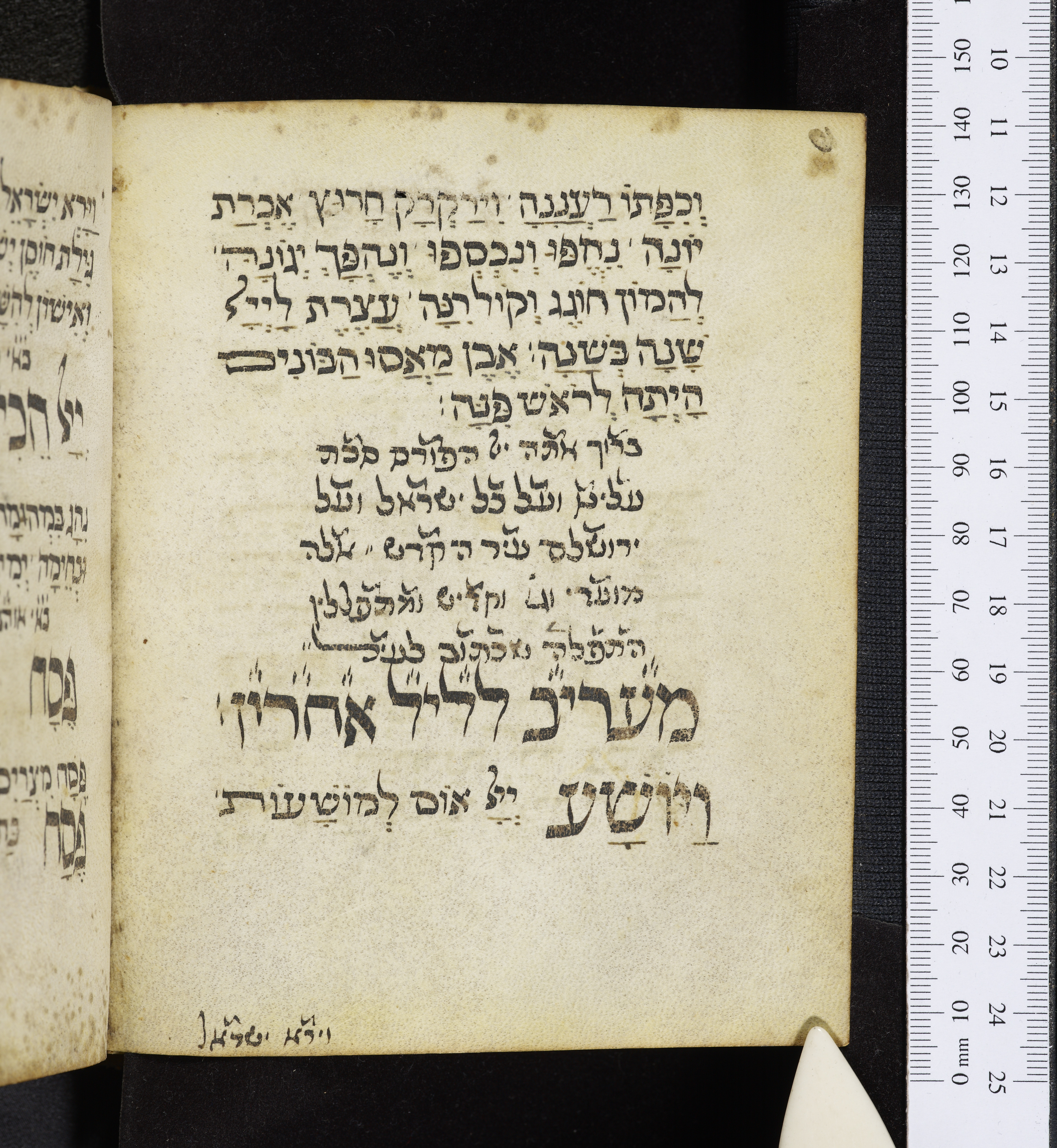 Image of item, e.g. a manuscript page