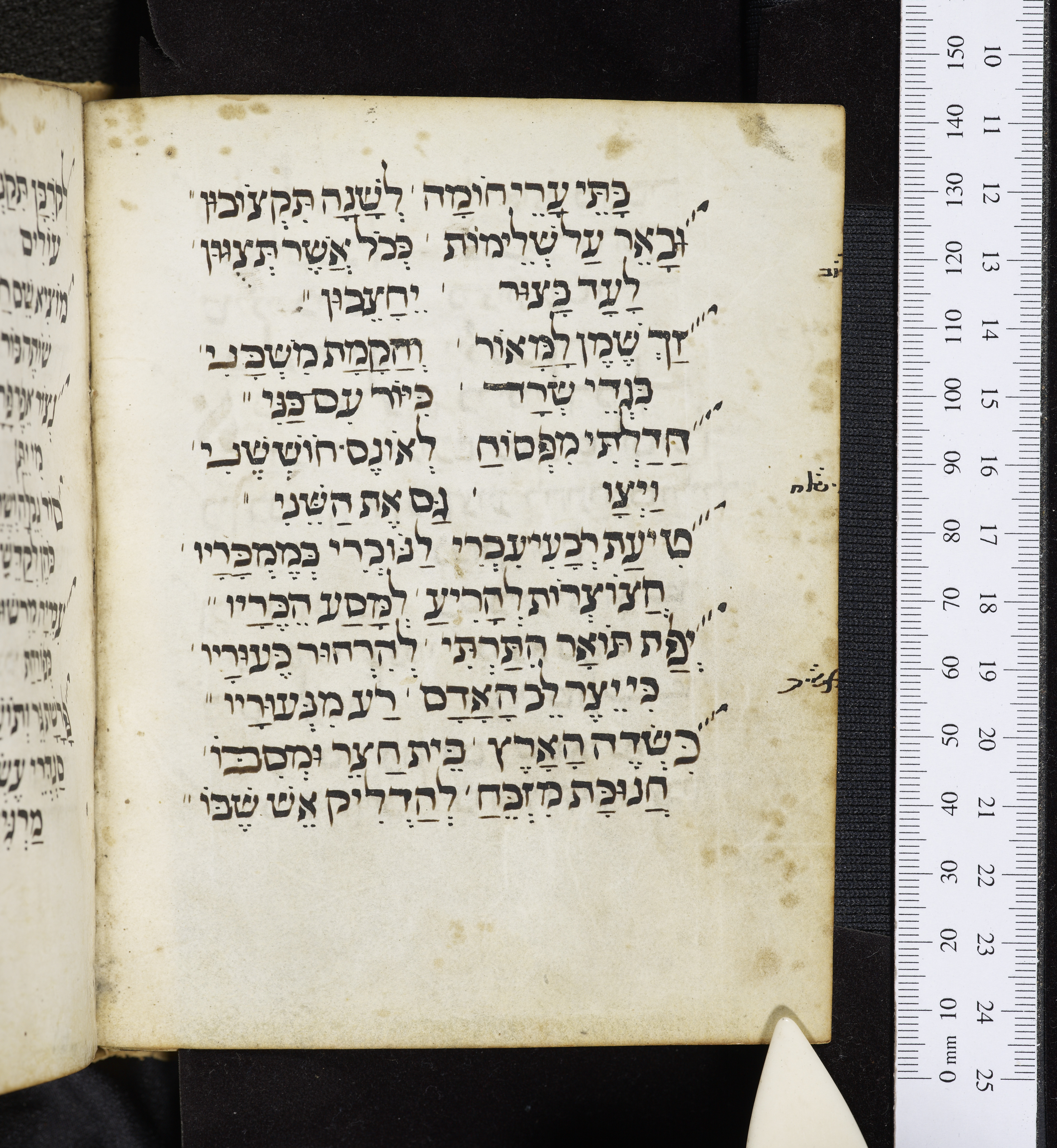 Image of item, e.g. a manuscript page