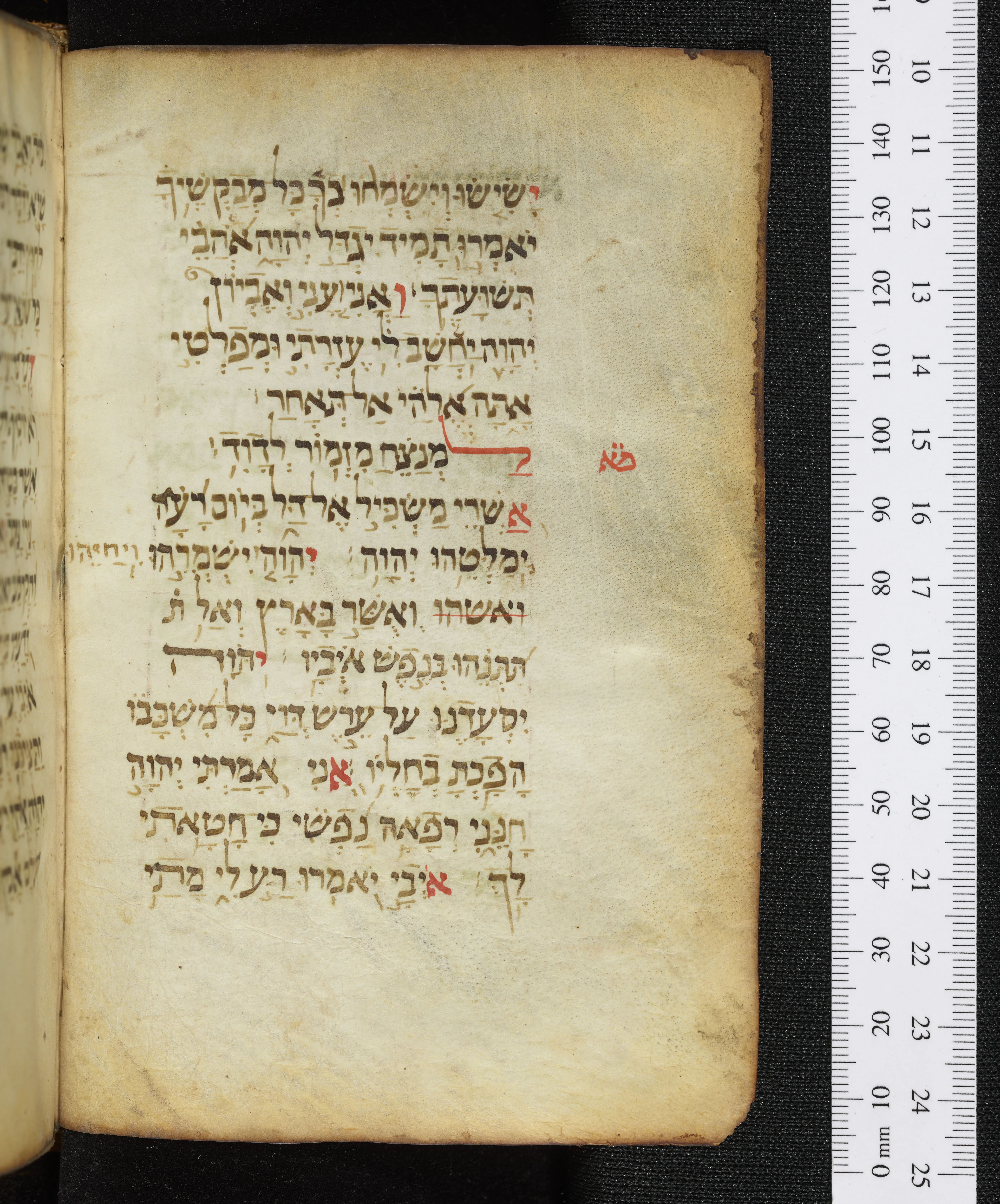 Image of item, e.g. a manuscript page