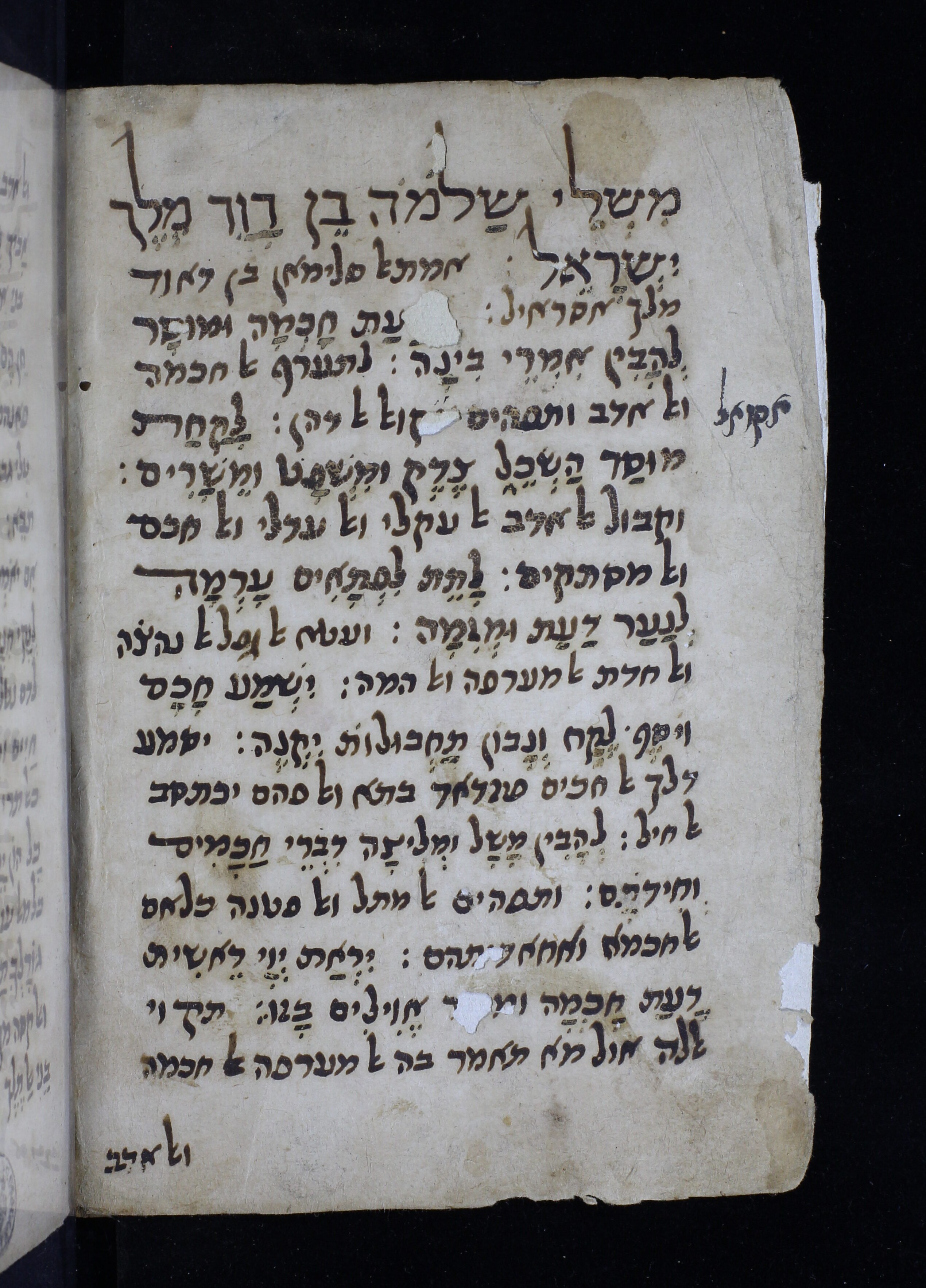 Image of item, e.g. a manuscript page