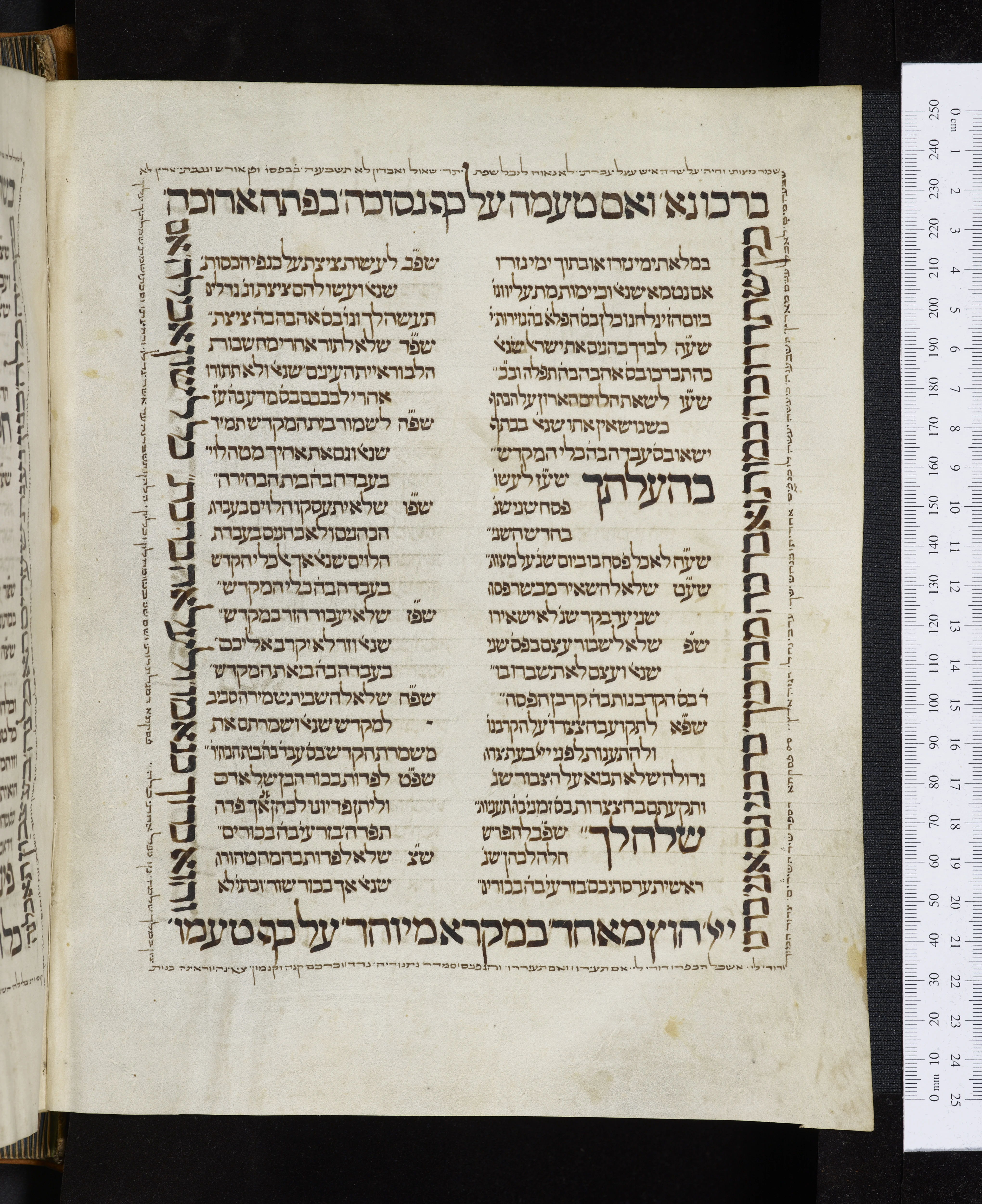 Image of item, e.g. a manuscript page