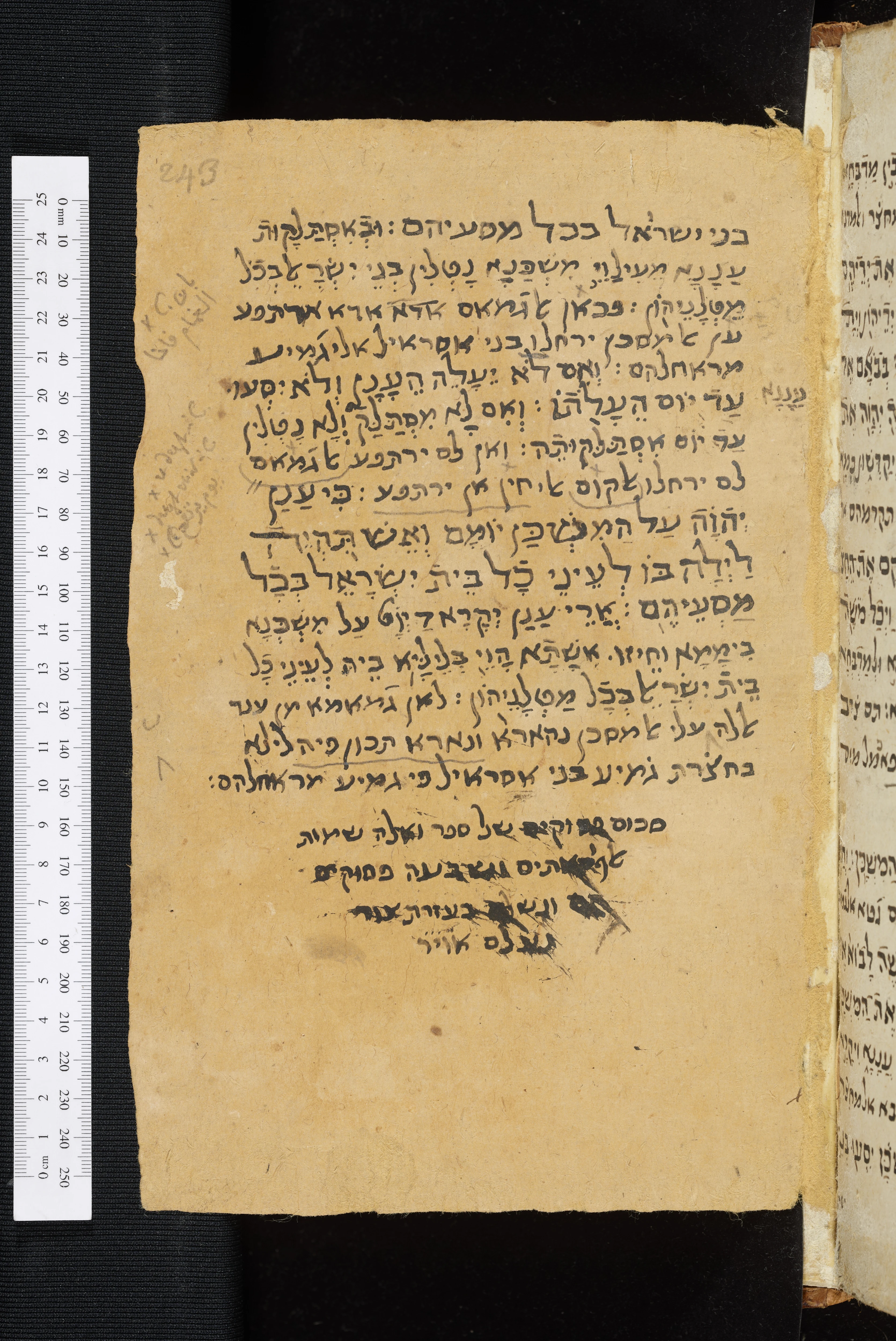 Image of item, e.g. a manuscript page
