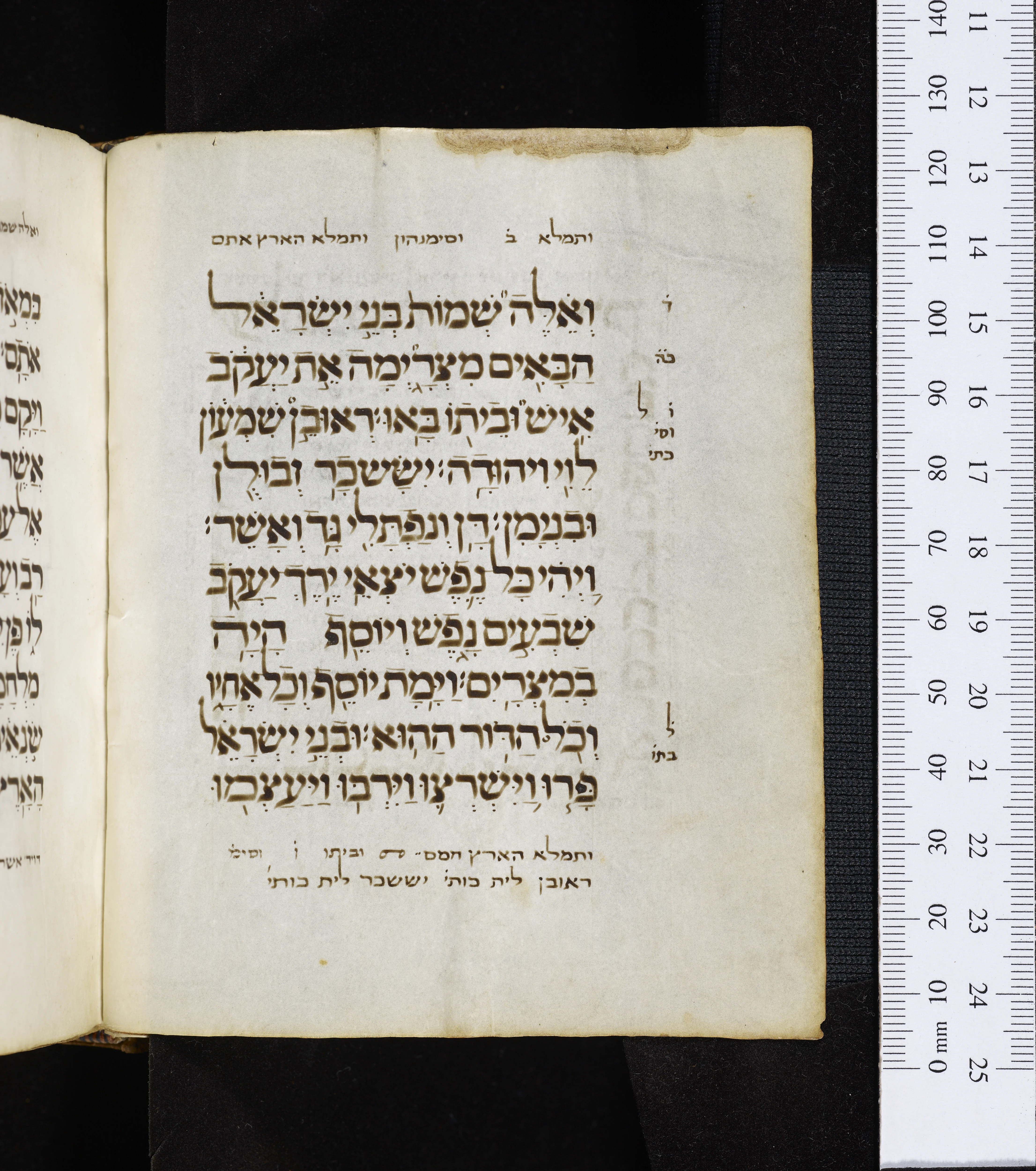 Image of item, e.g. a manuscript page