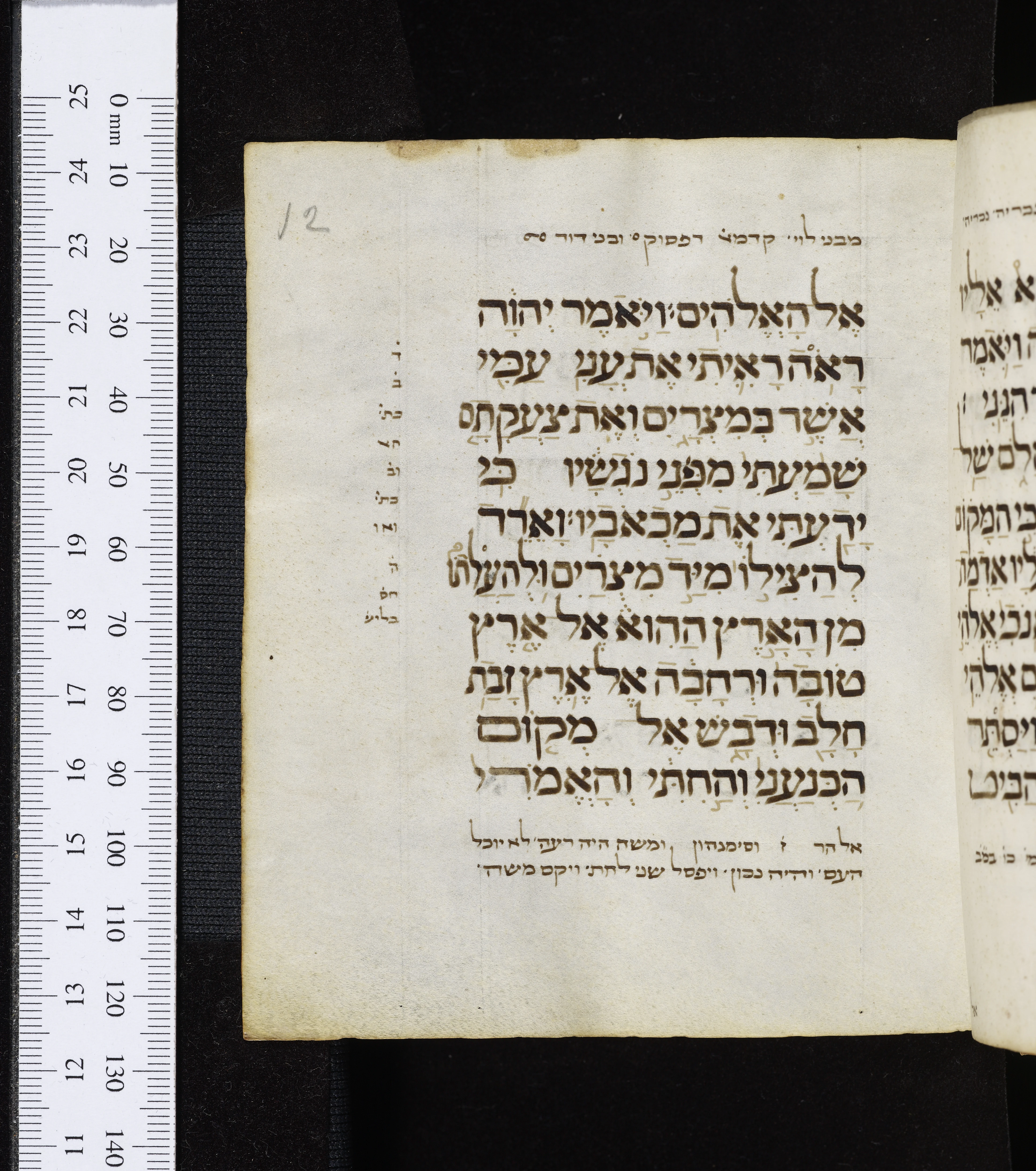 Image of item, e.g. a manuscript page