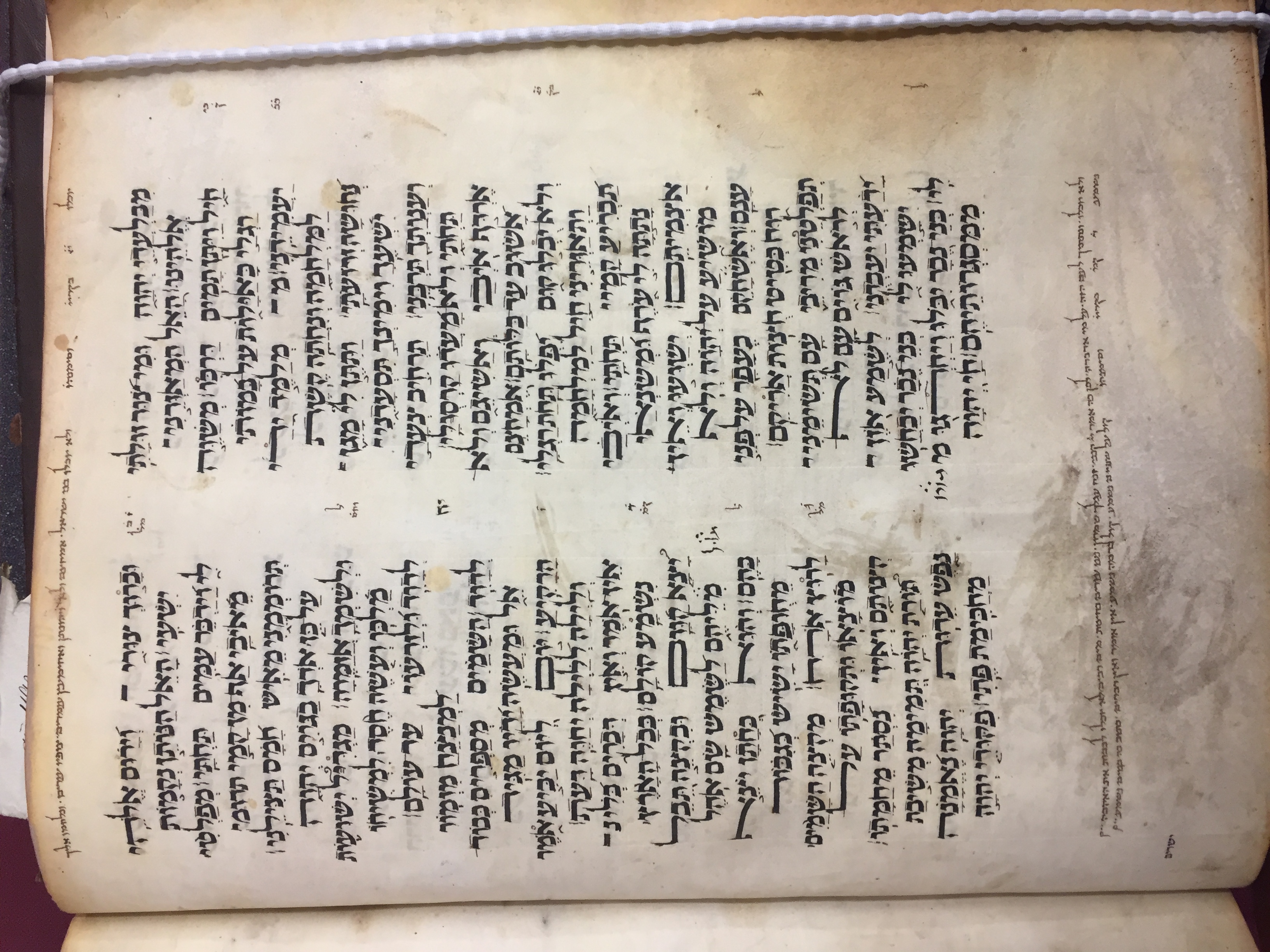 Image of item, e.g. a manuscript page