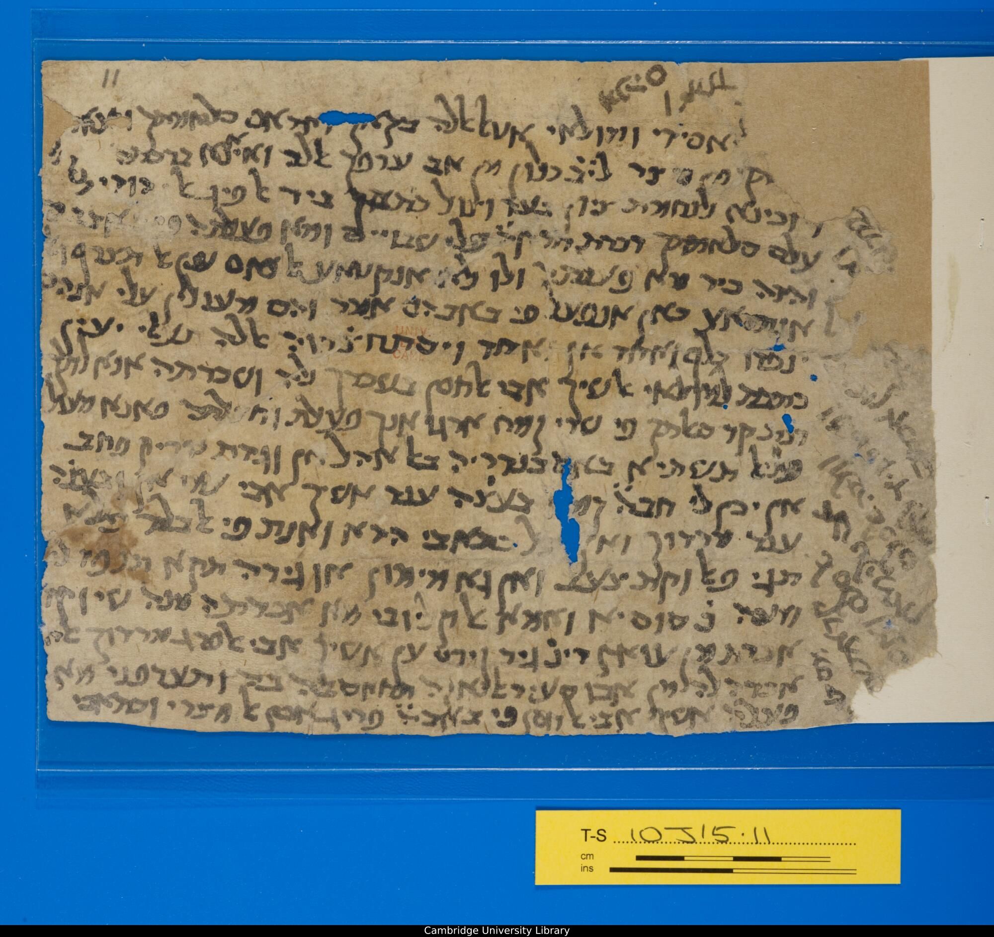 Image of item, e.g. a manuscript page