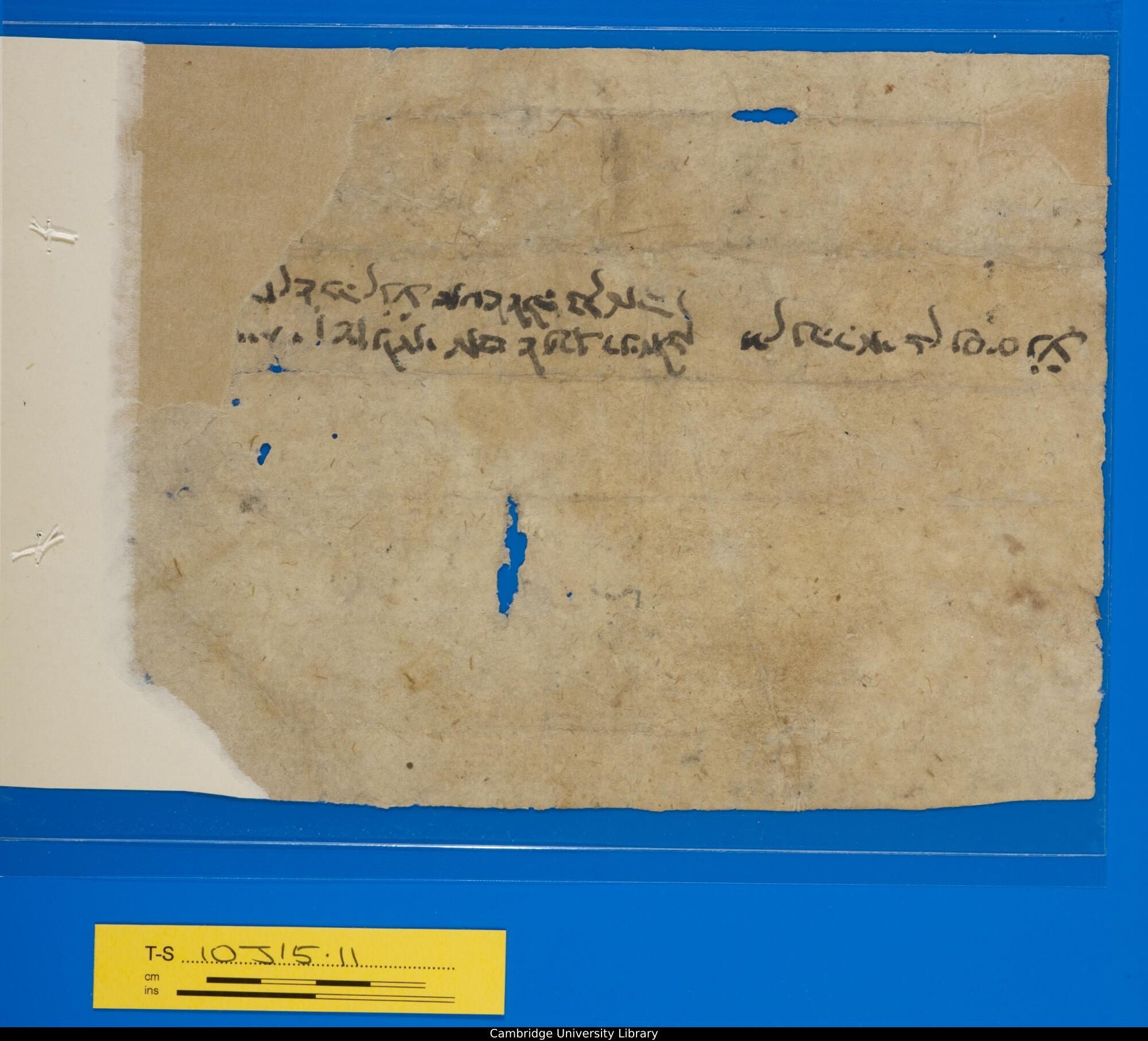 Image of item, e.g. a manuscript page