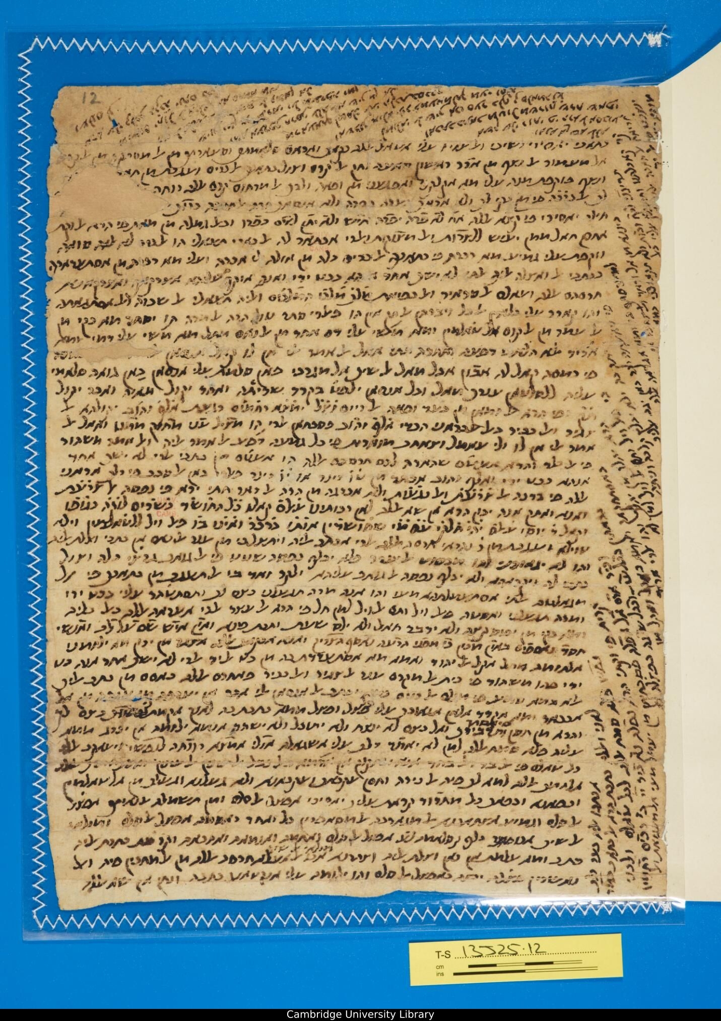 Image of item, e.g. a manuscript page