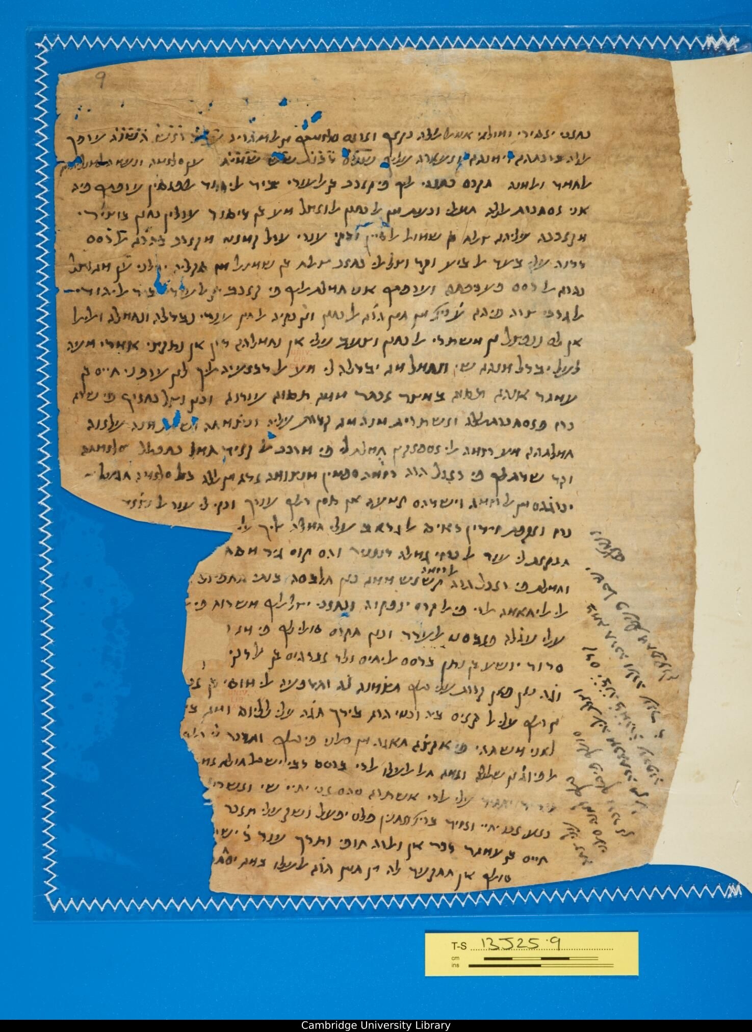 Image of item, e.g. a manuscript page
