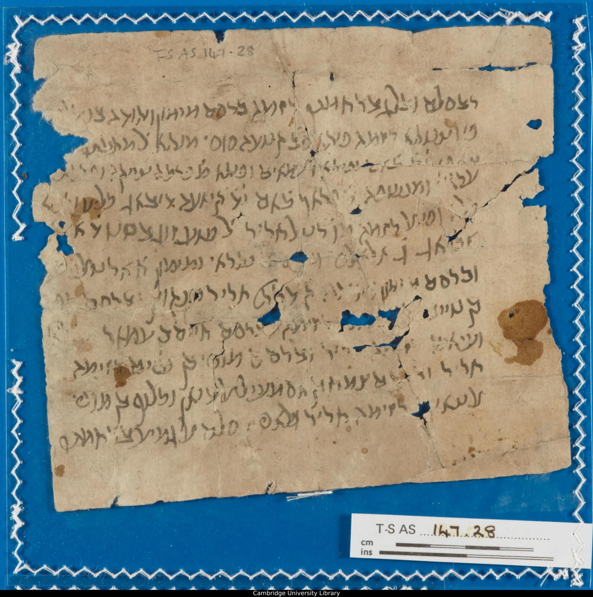 Image of item, e.g. a manuscript page