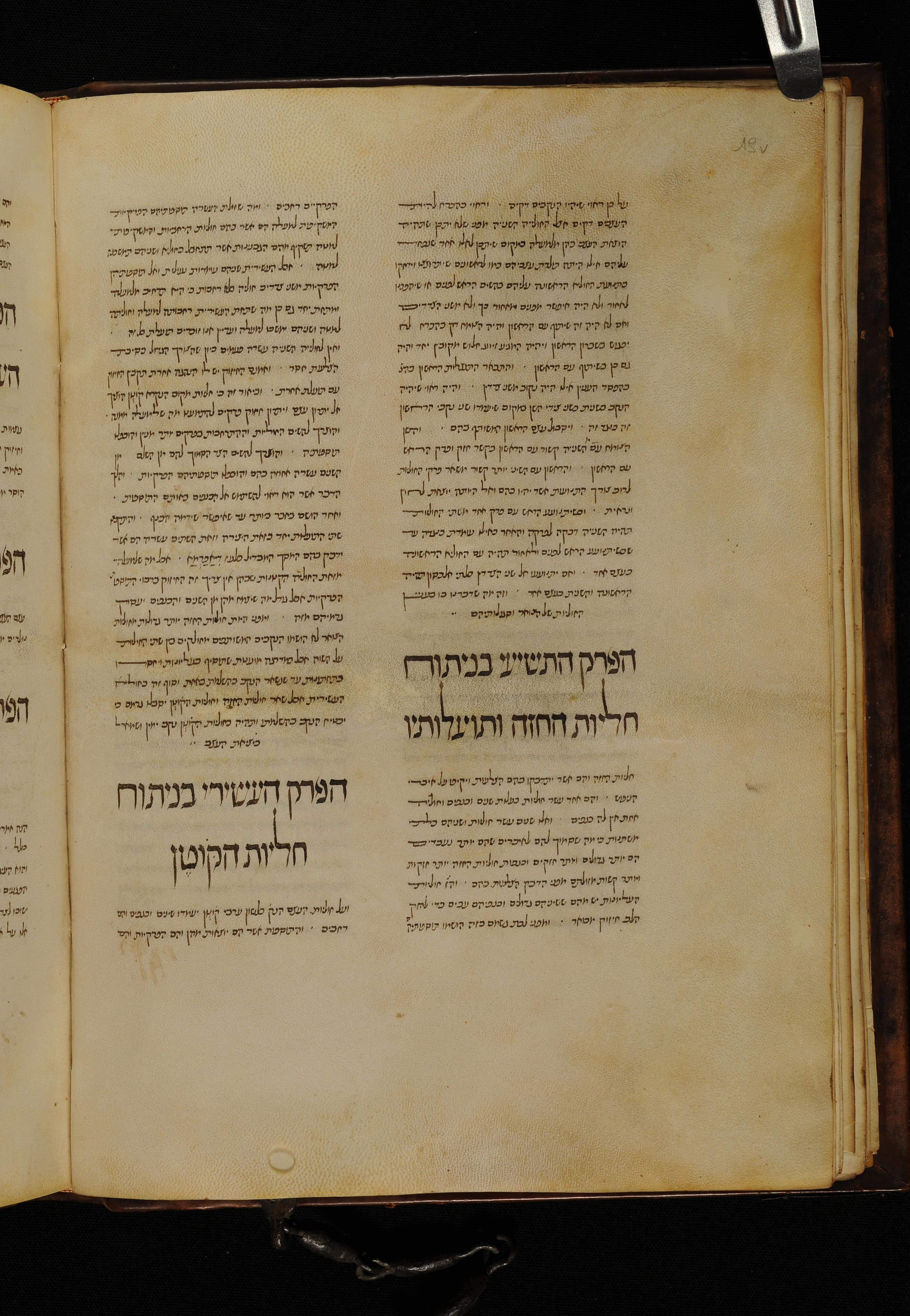 Image of item, e.g. a manuscript page
