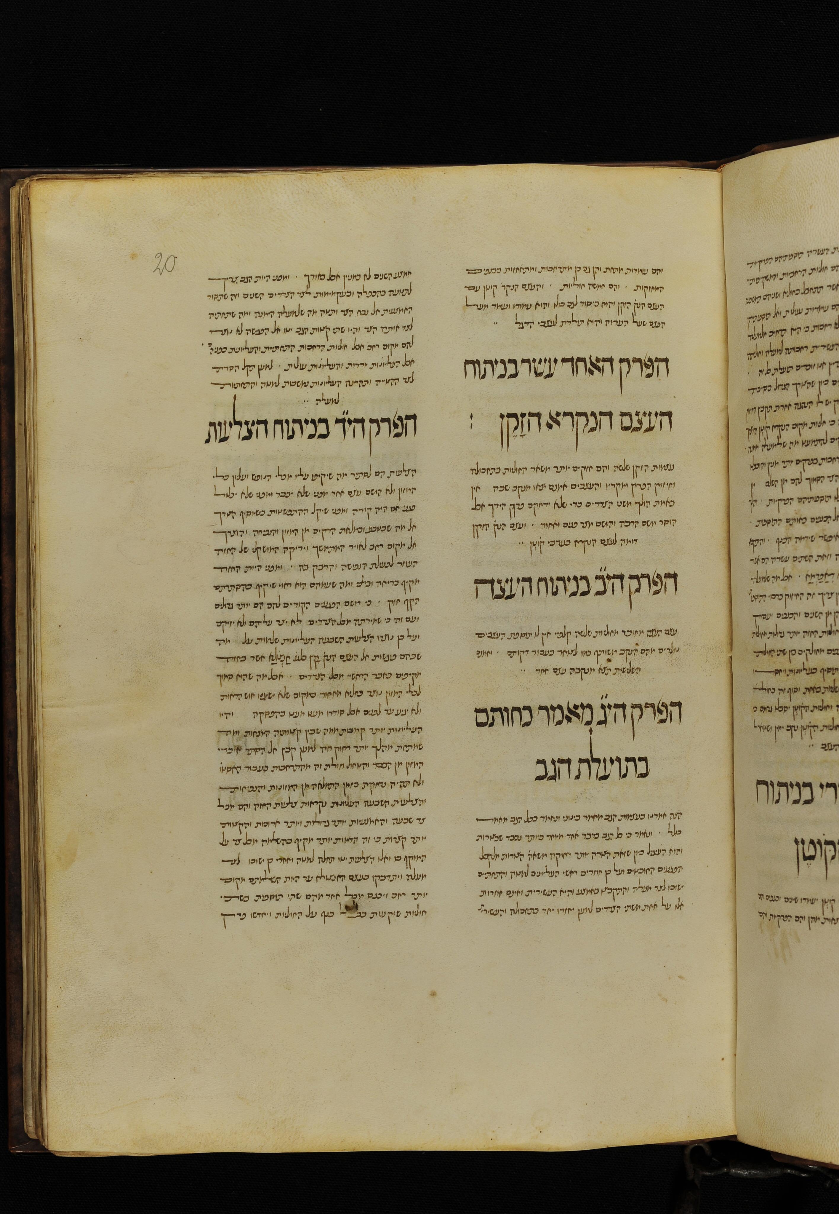 Image of item, e.g. a manuscript page